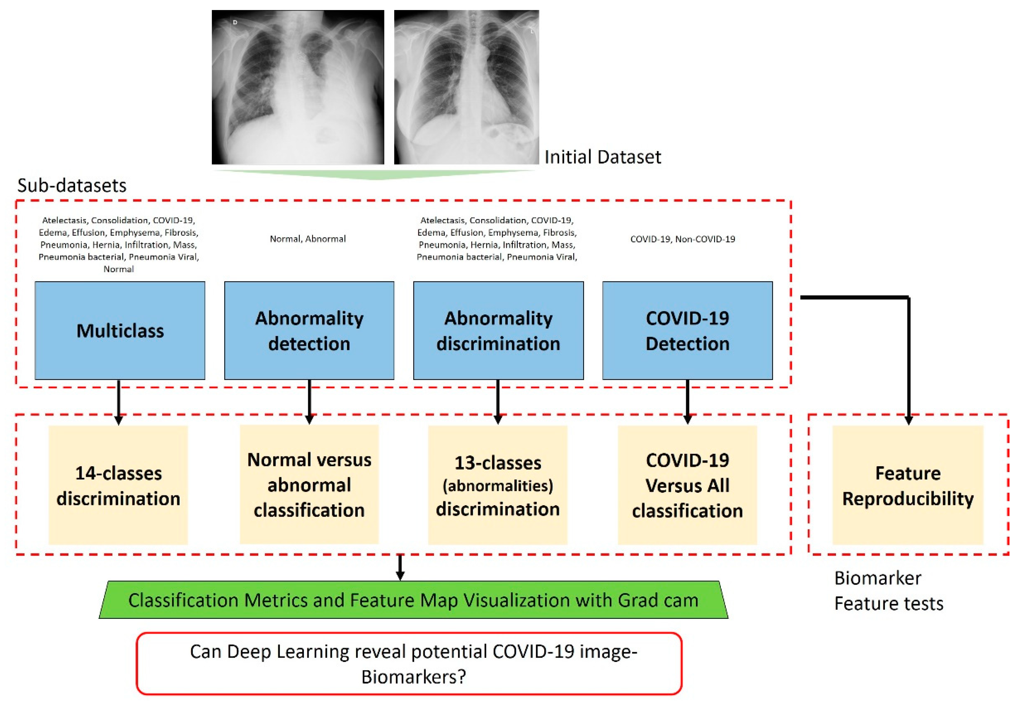 Reports 05 00020 g002