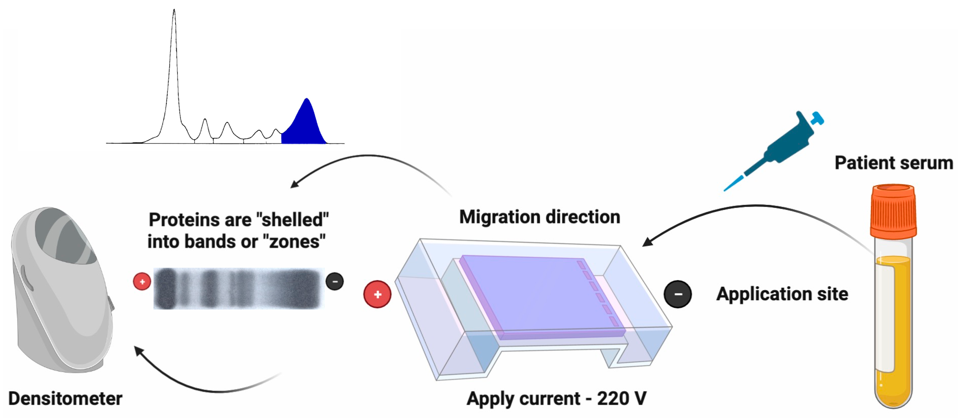 Reports 05 00023 g001