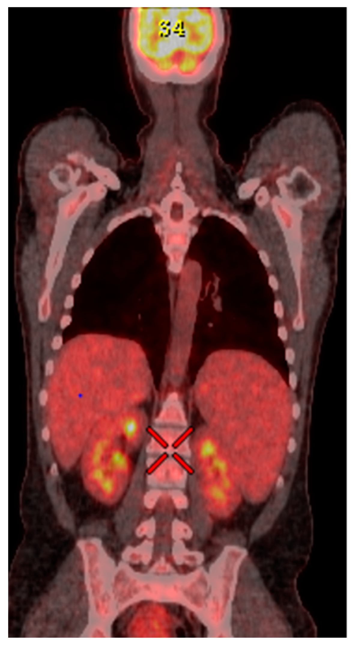 Reports 05 00023 g002