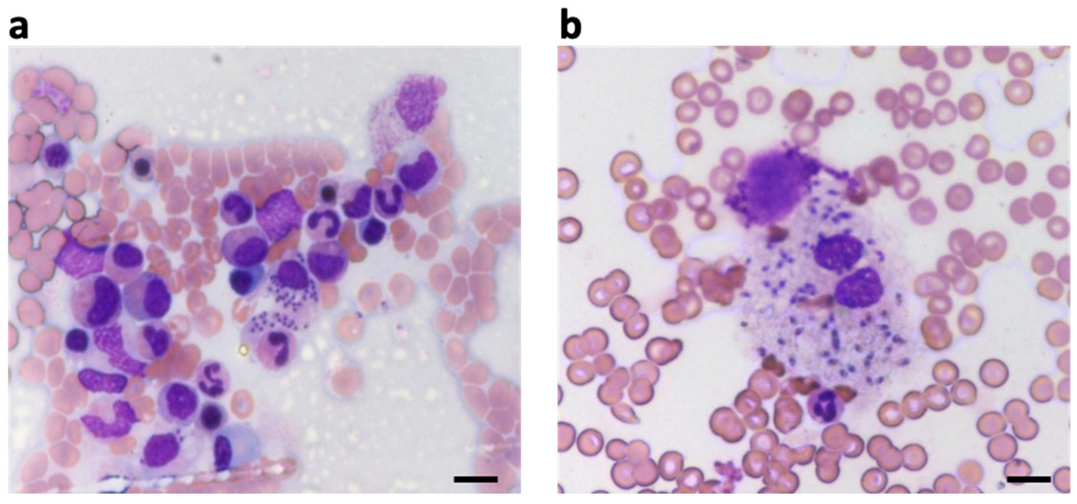 Reports 05 00023 g003