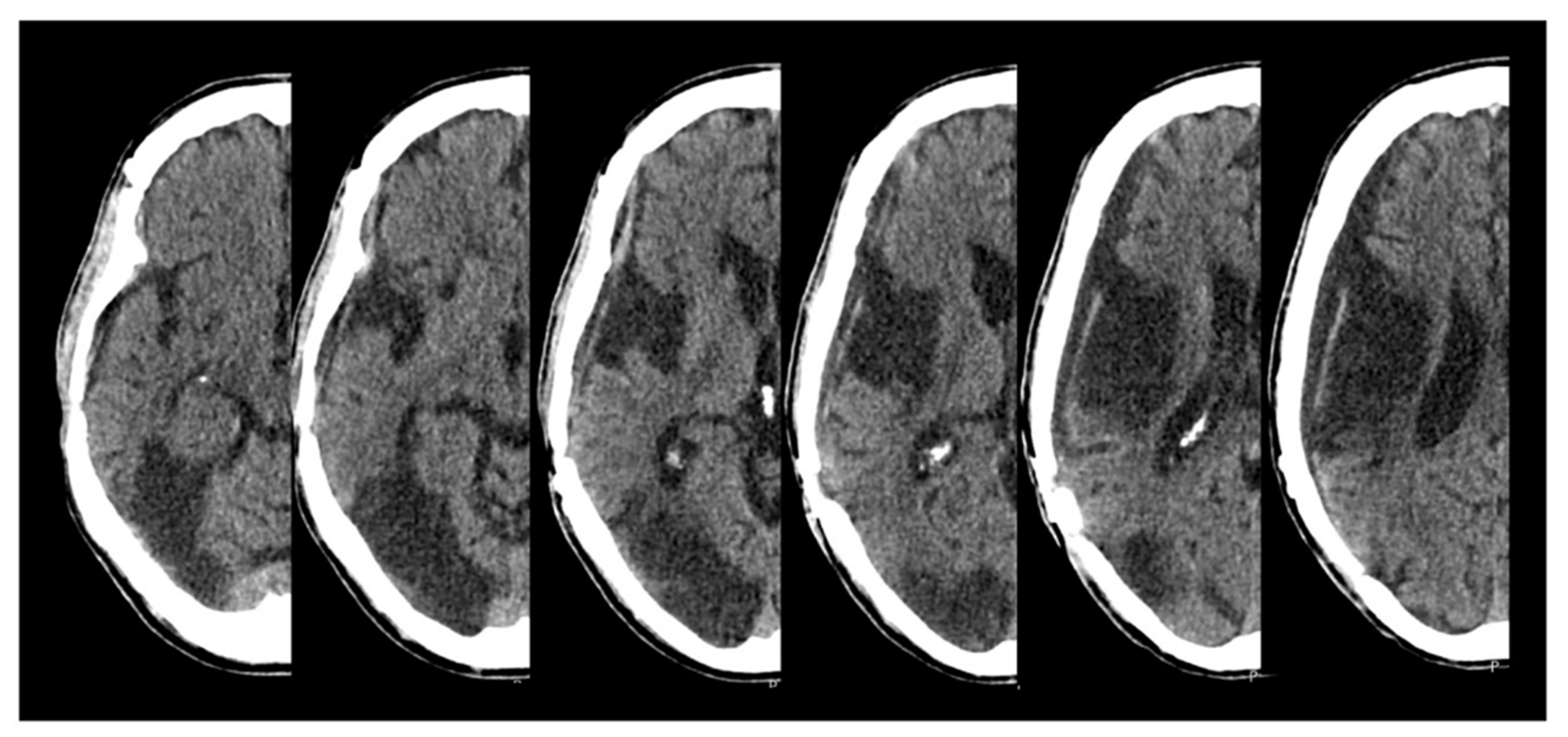 Reports 05 00032 g001