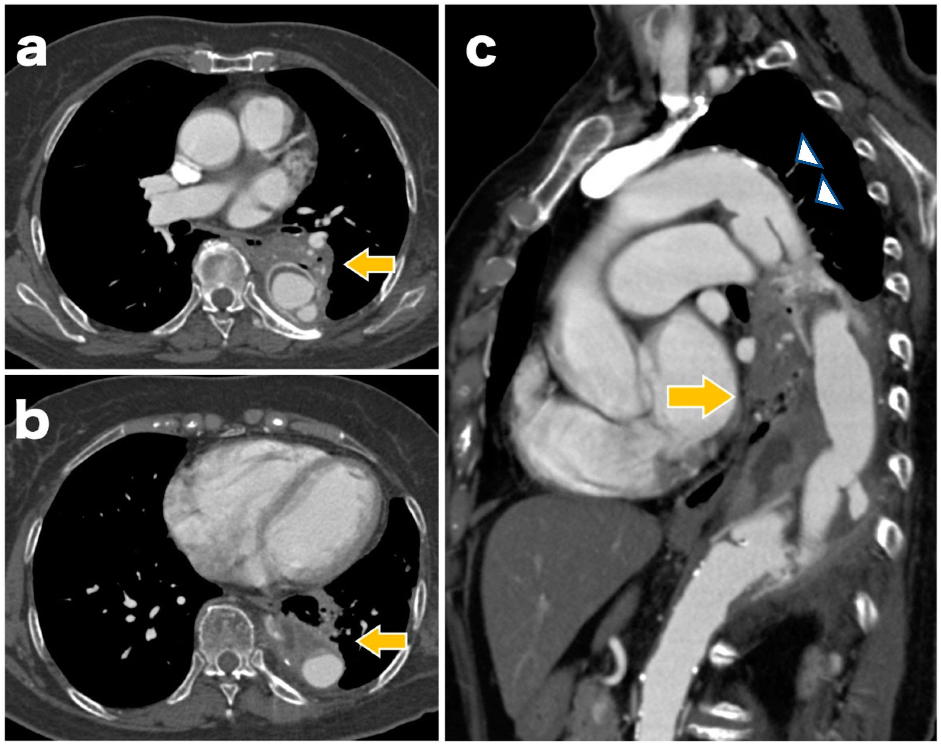 Reports 05 00034 g001