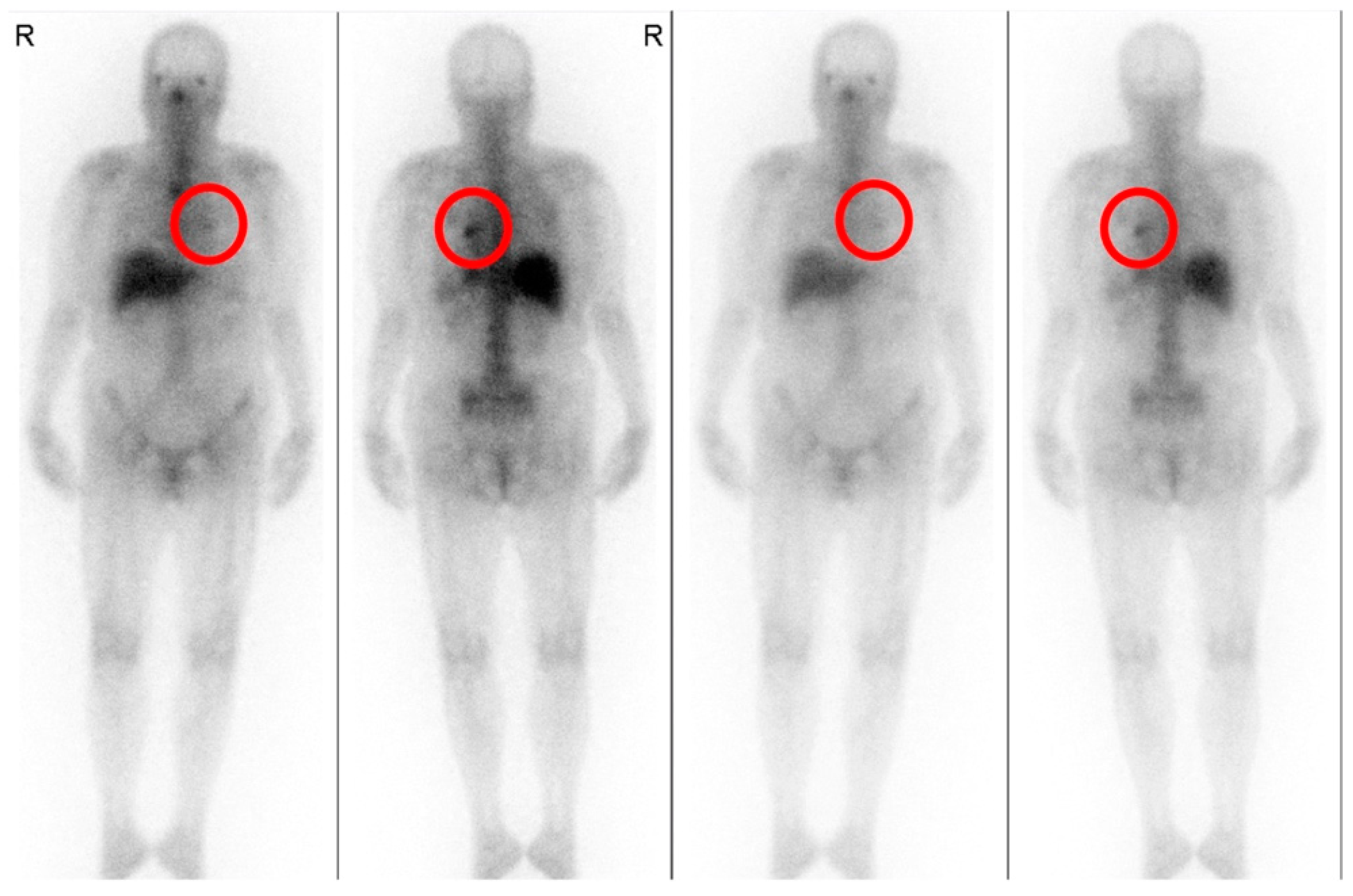 Reports 05 00034 g002