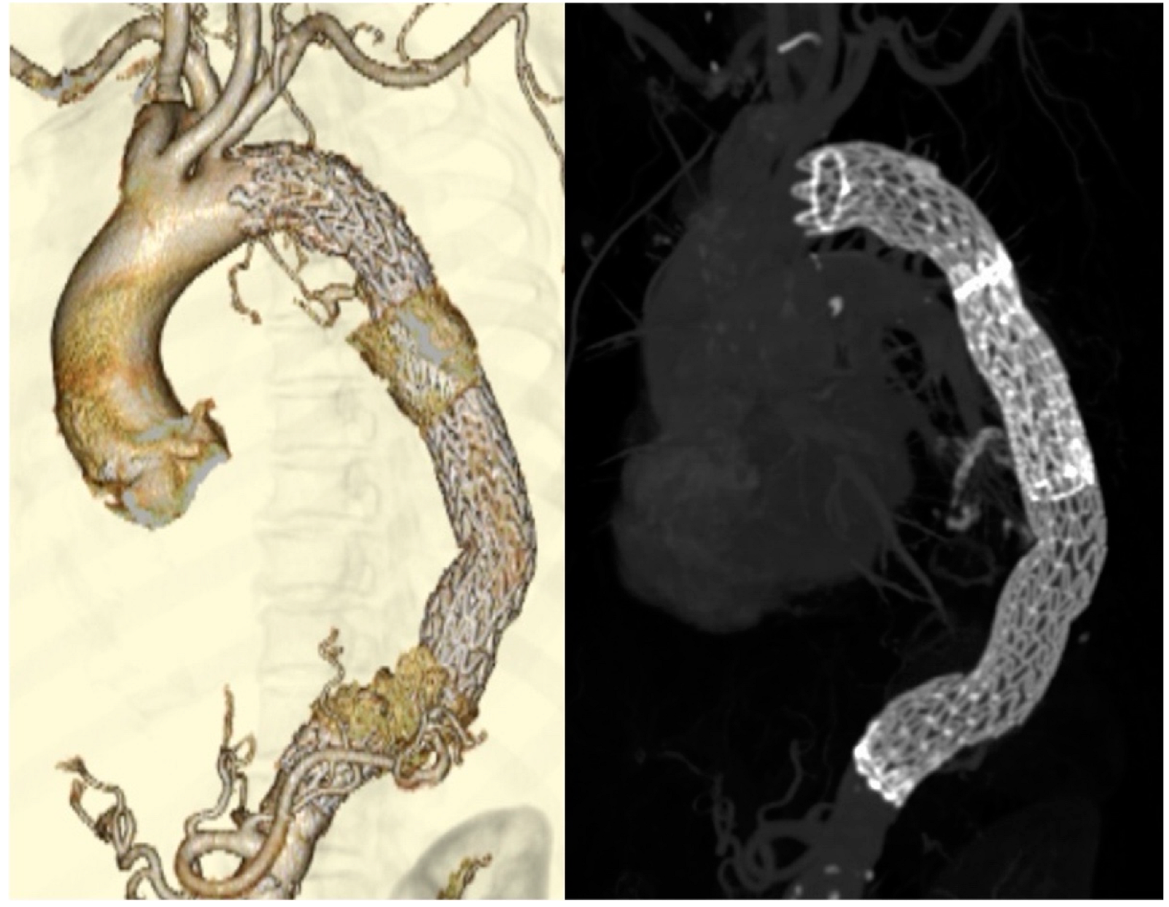 Reports 05 00034 g003