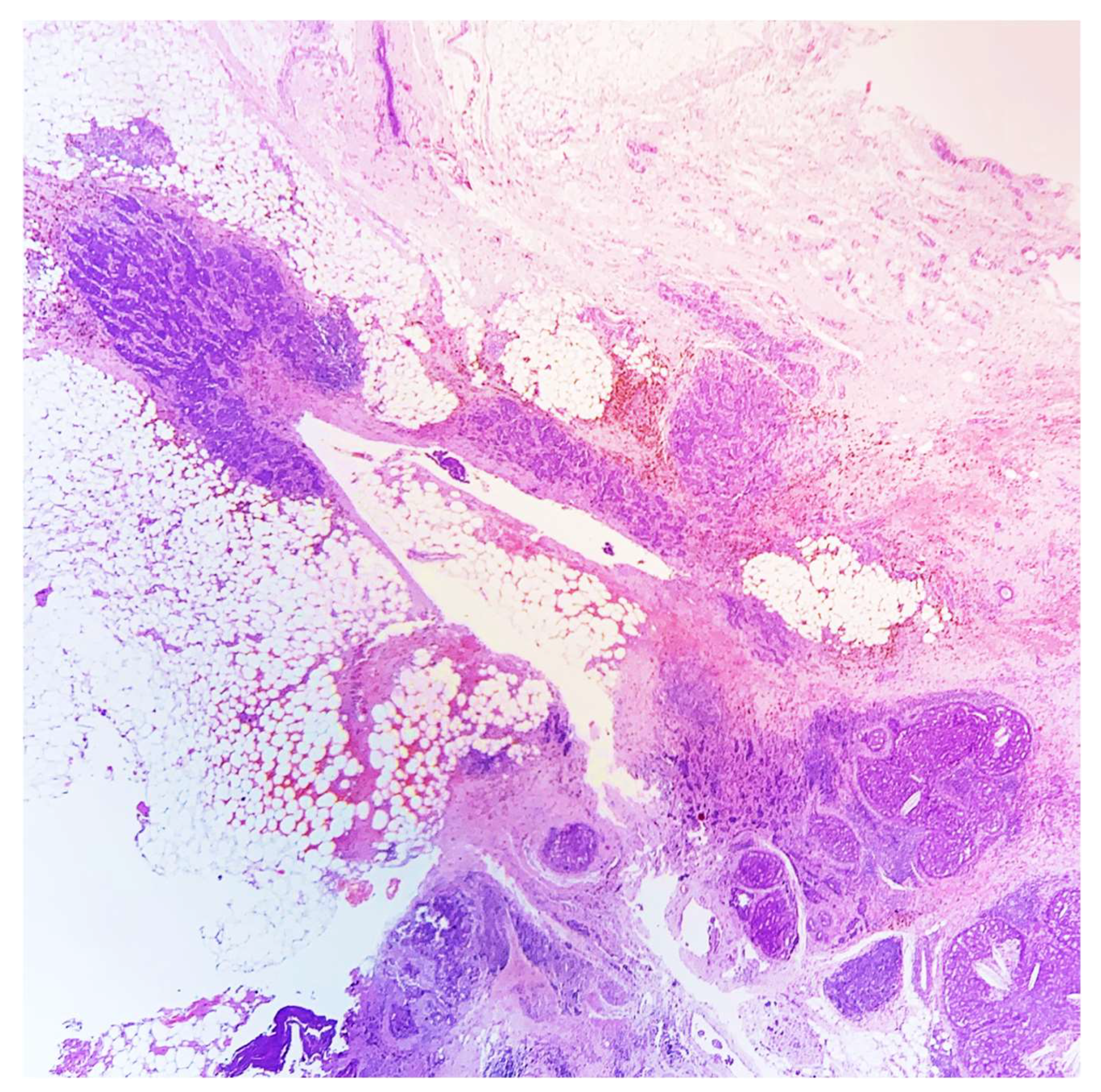 Reports 05 00038 g003