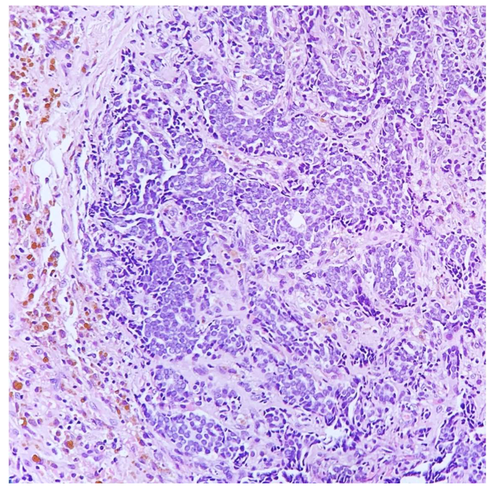 Reports 05 00038 g004