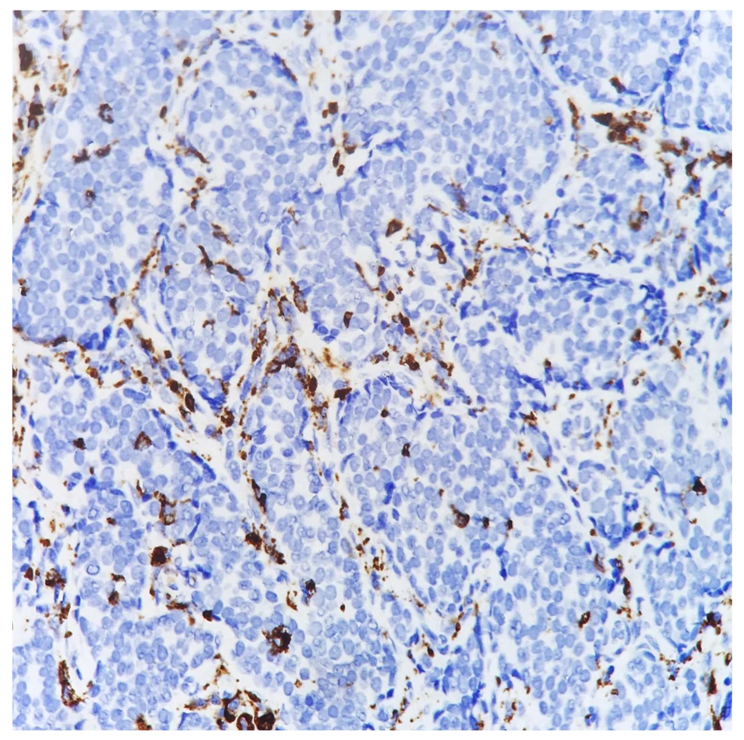 Reports 05 00038 g005