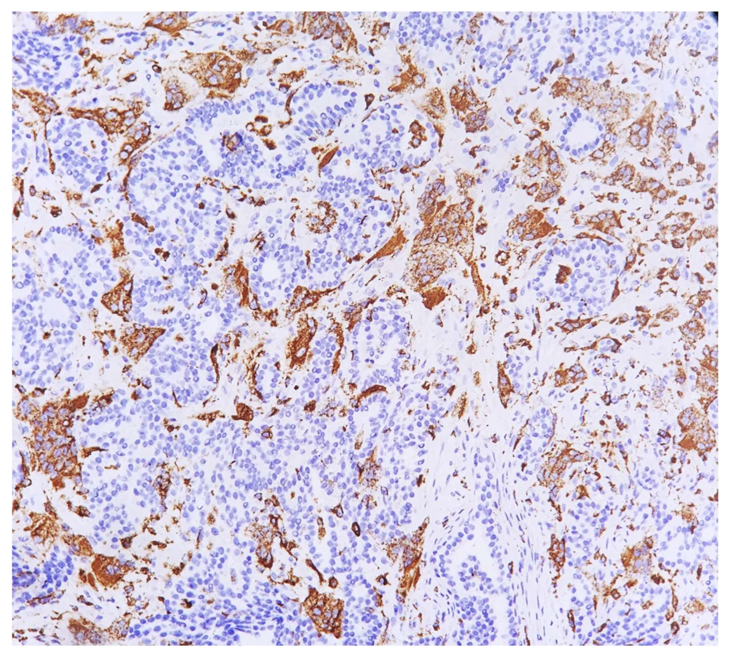 Reports 05 00038 g006