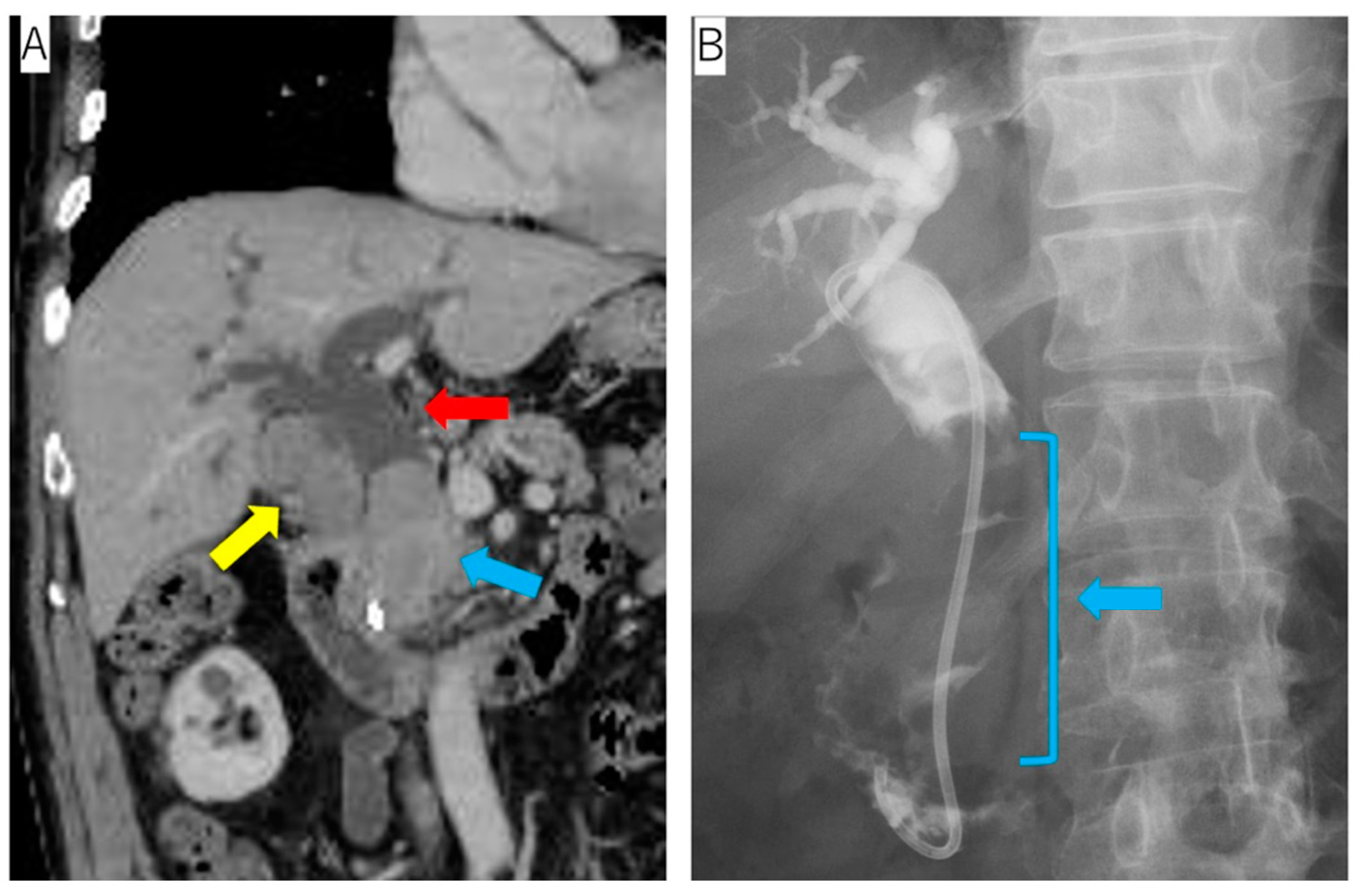 Reports 06 00001 g001