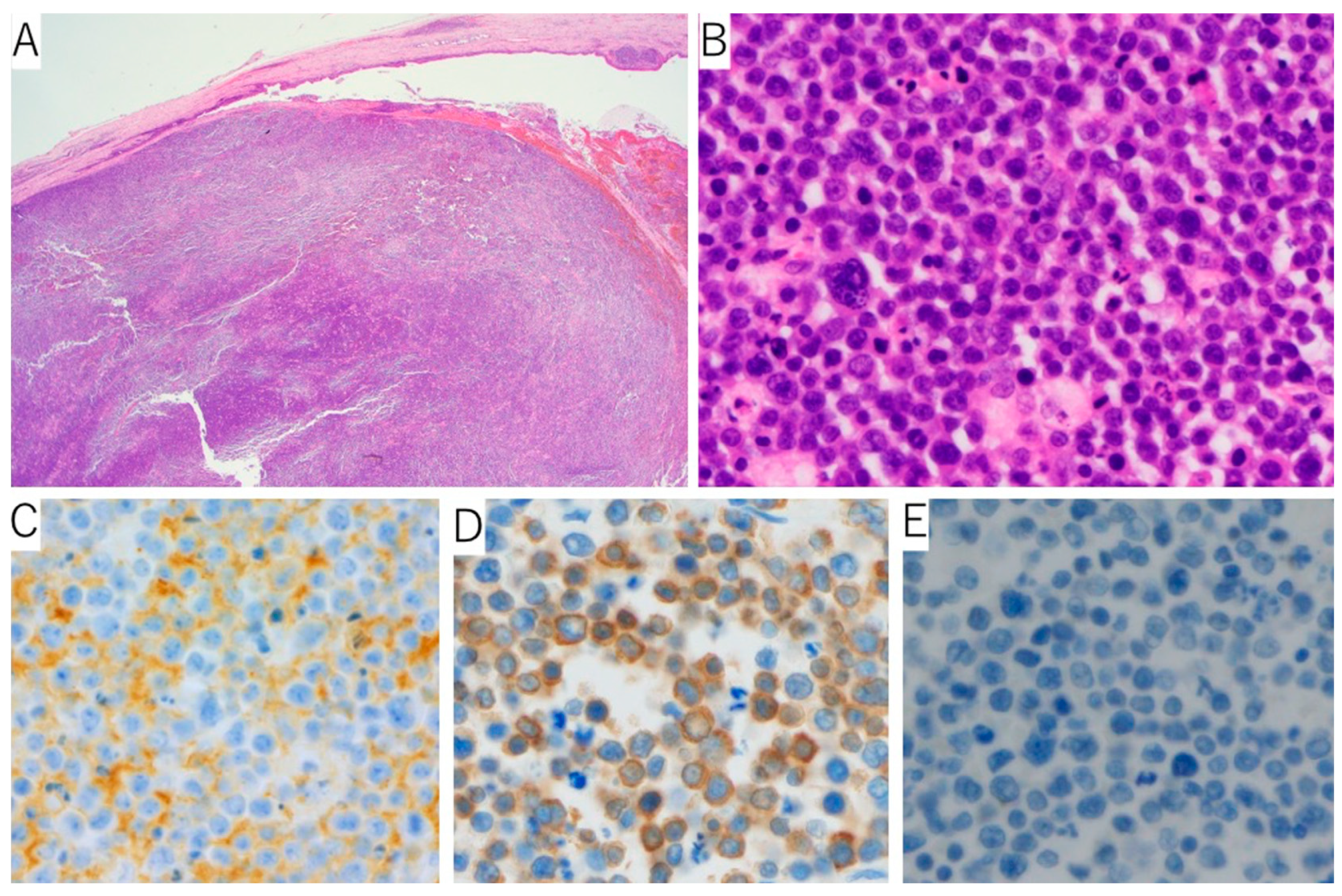 Reports 06 00001 g003