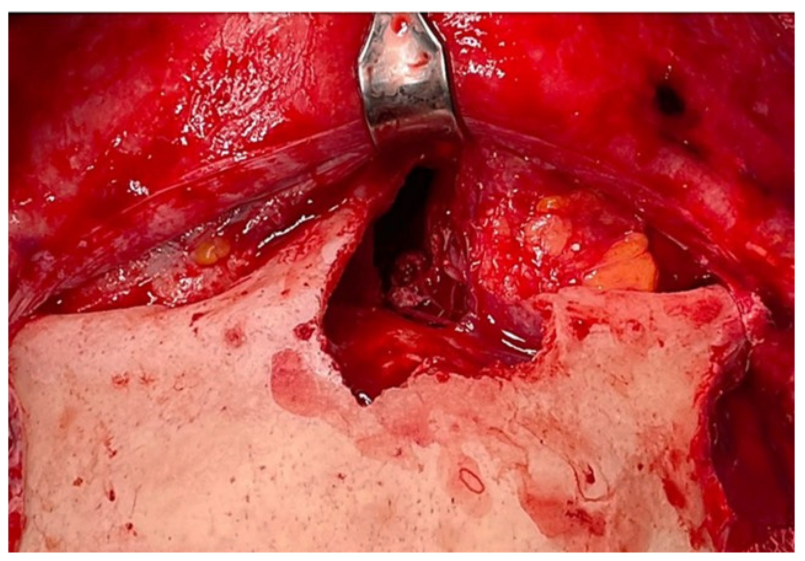 Reports 06 00007 g004