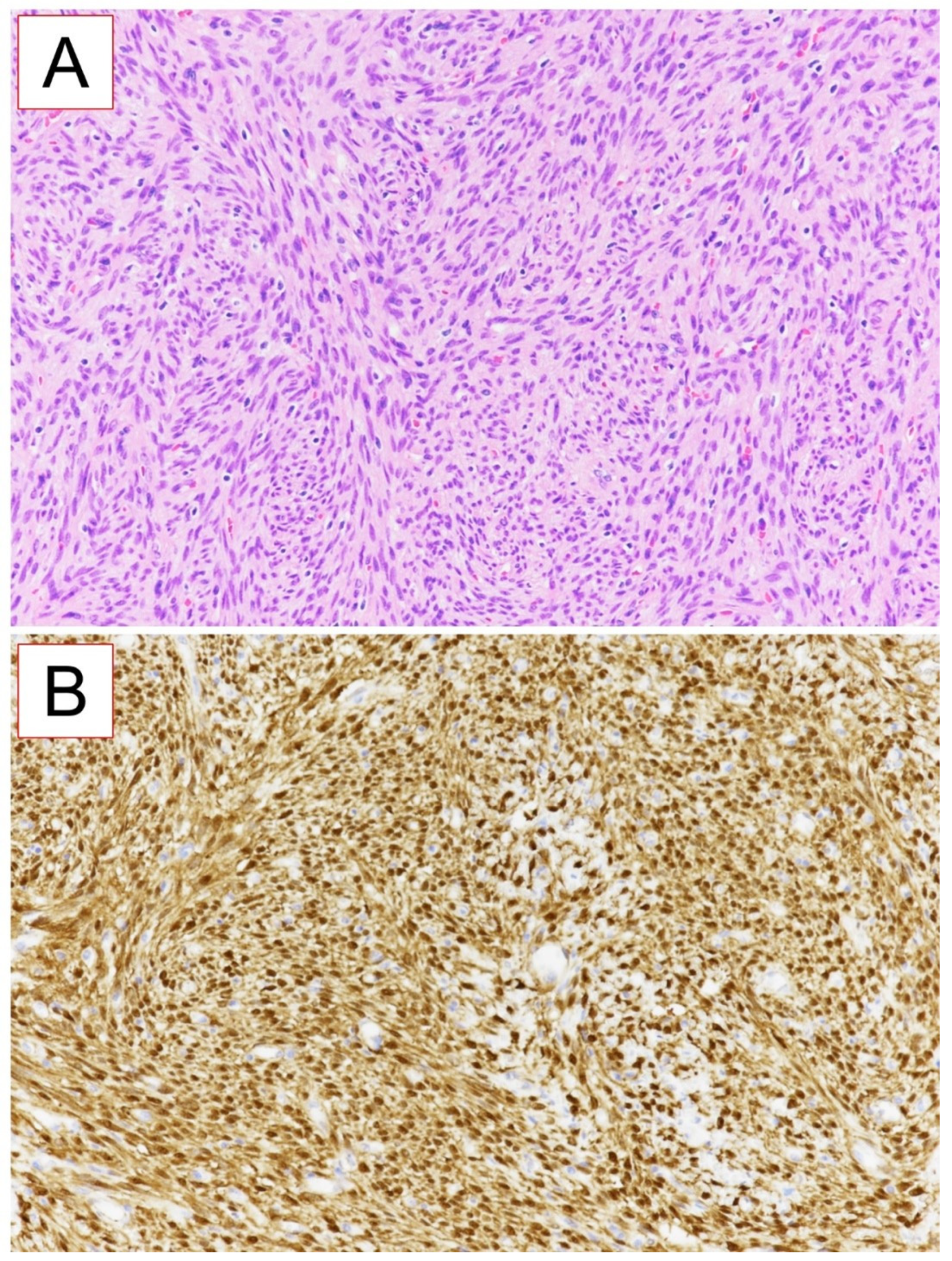 Reports 06 00007 g005