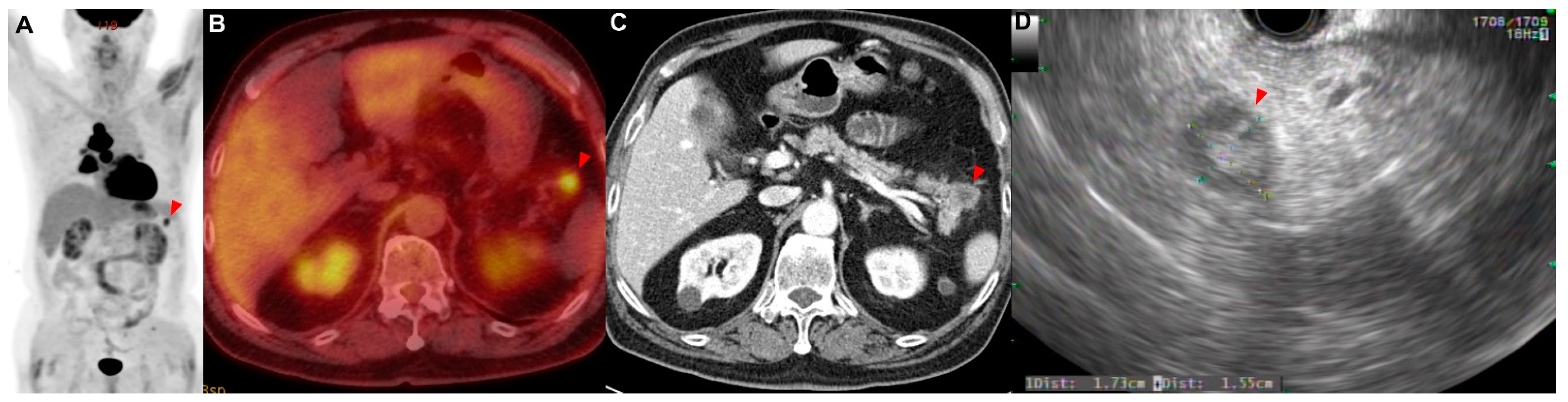 Reports 06 00008 g001