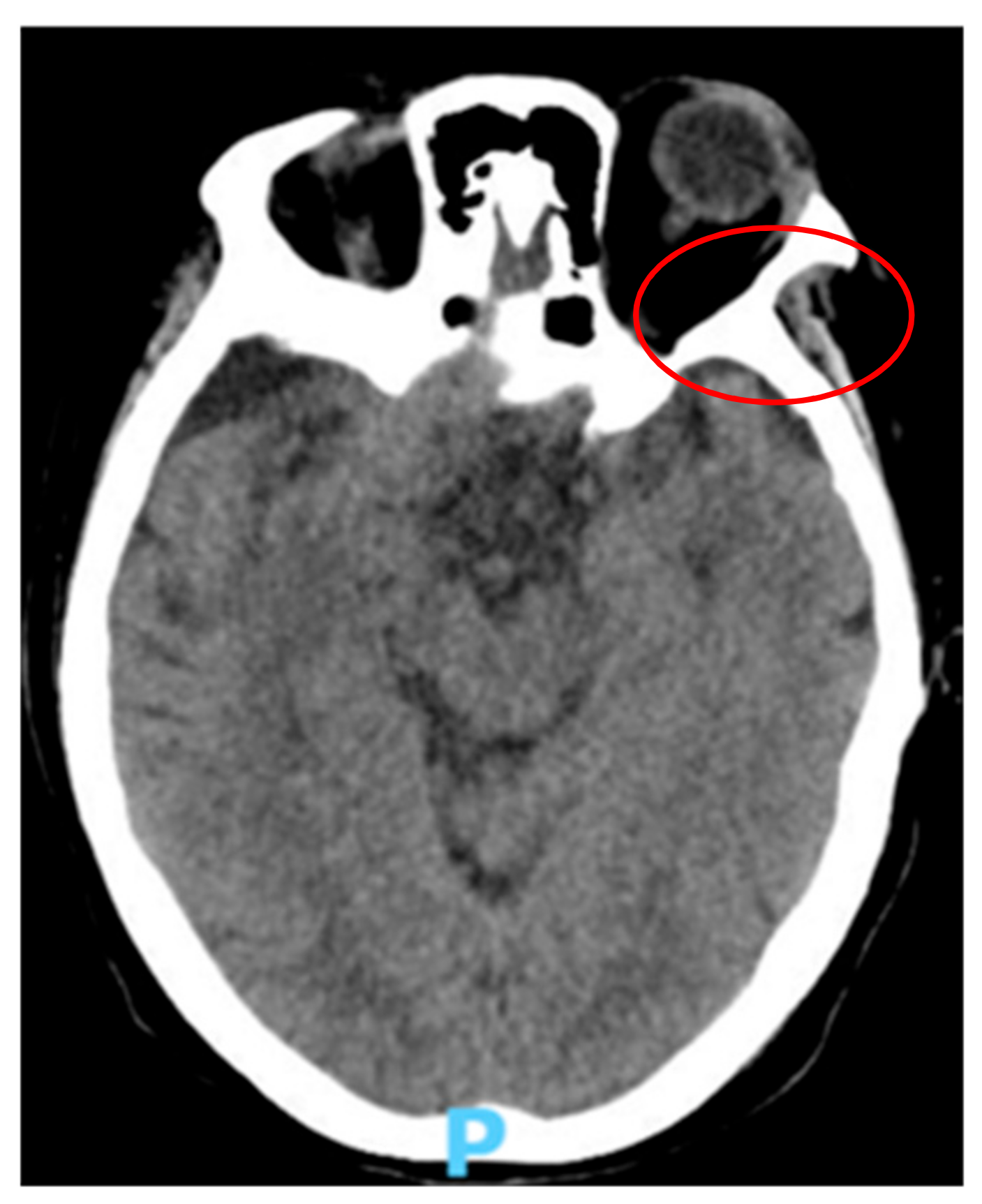 Reports 06 00011 g001