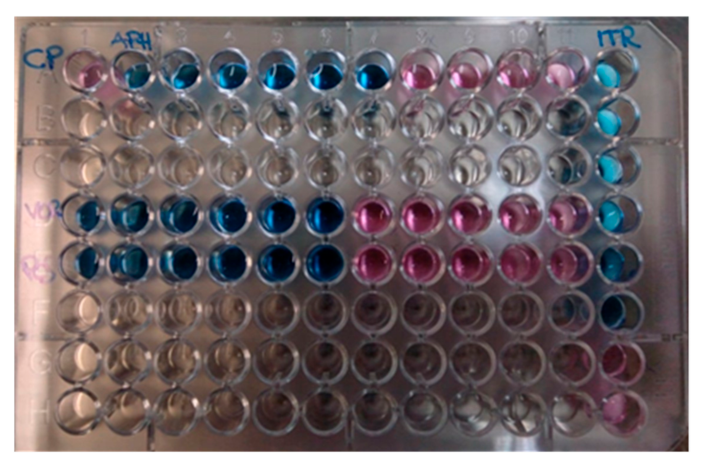 Reports 06 00011 g003