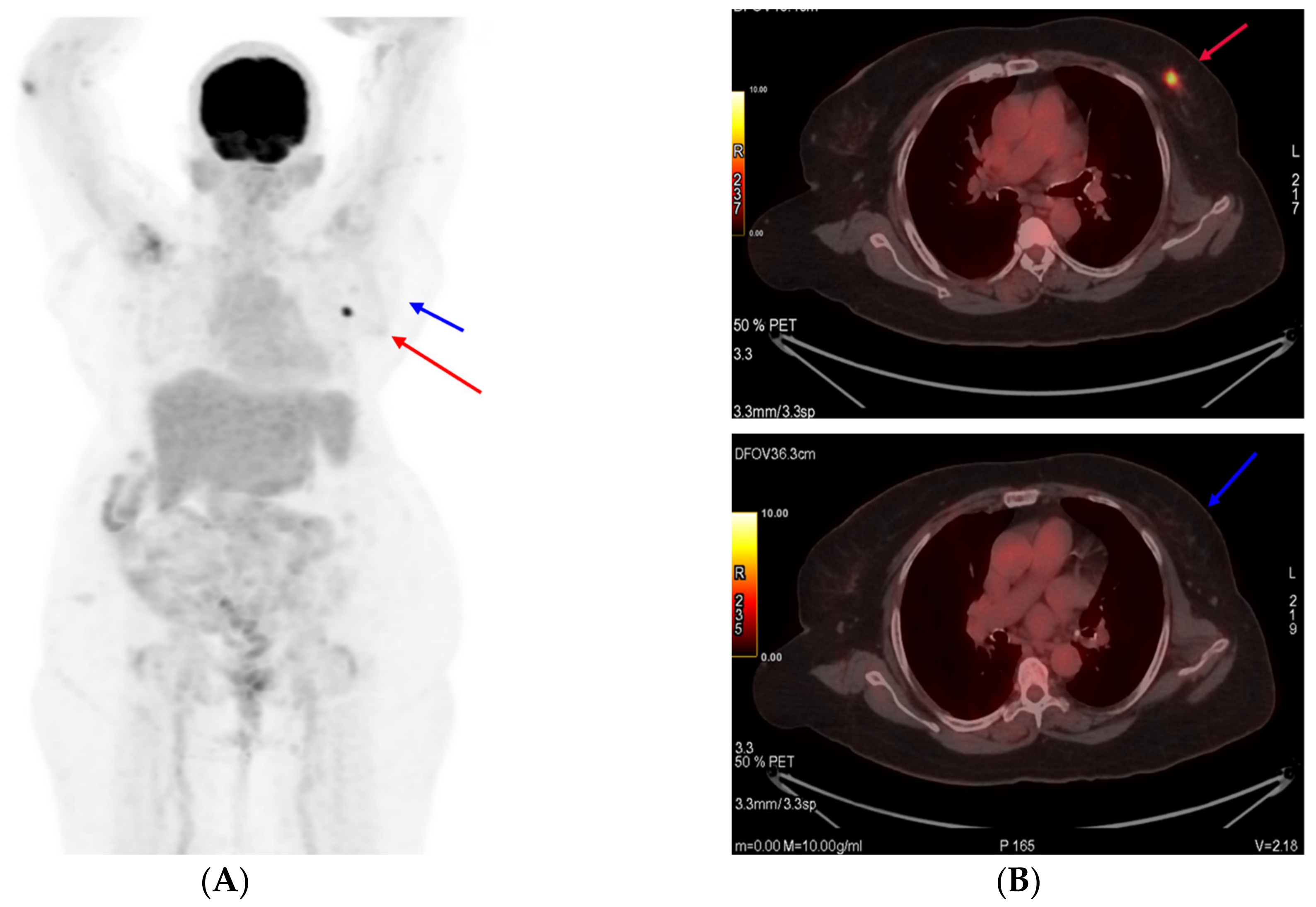 Reports 06 00013 g003