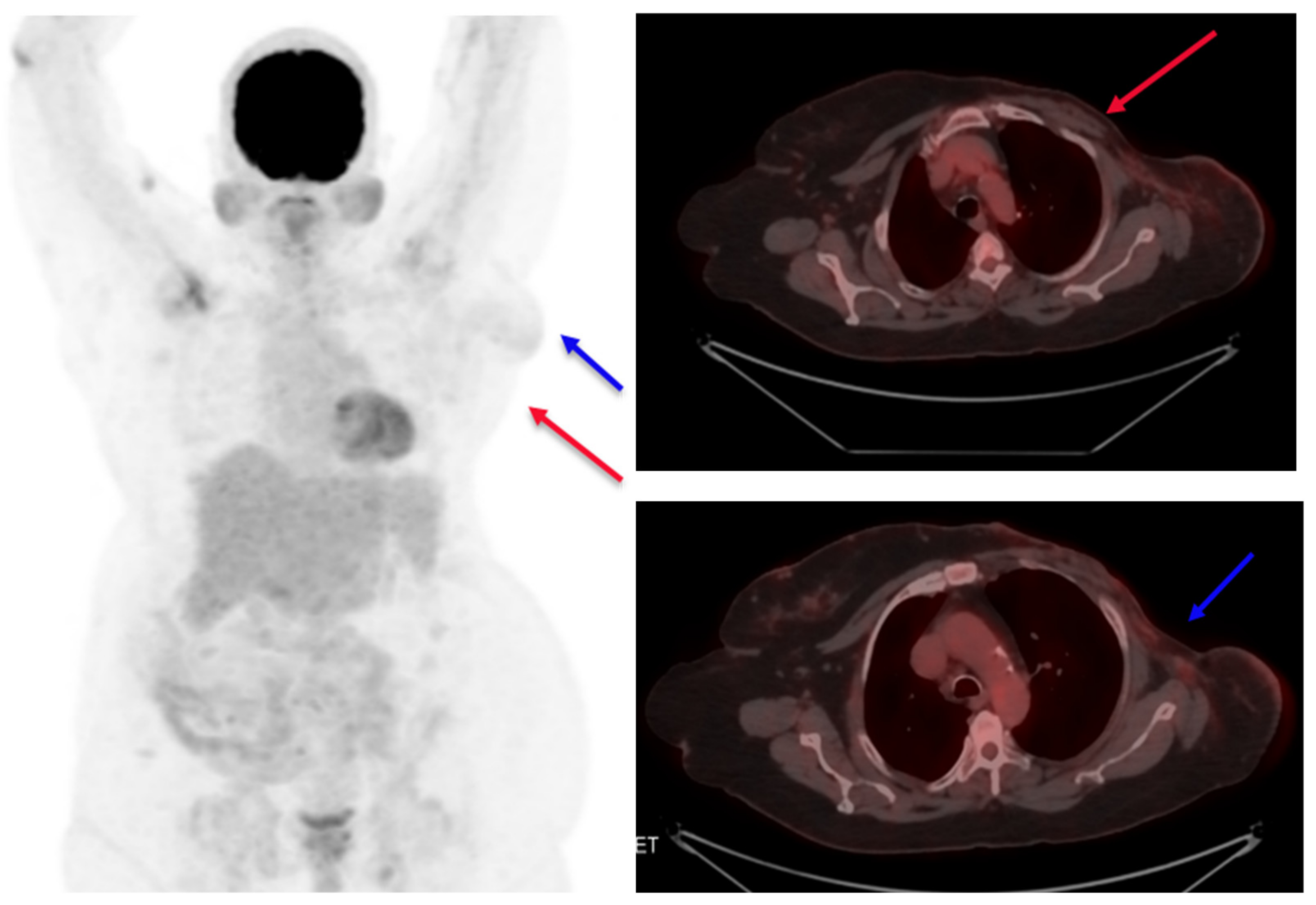 Reports 06 00013 g004