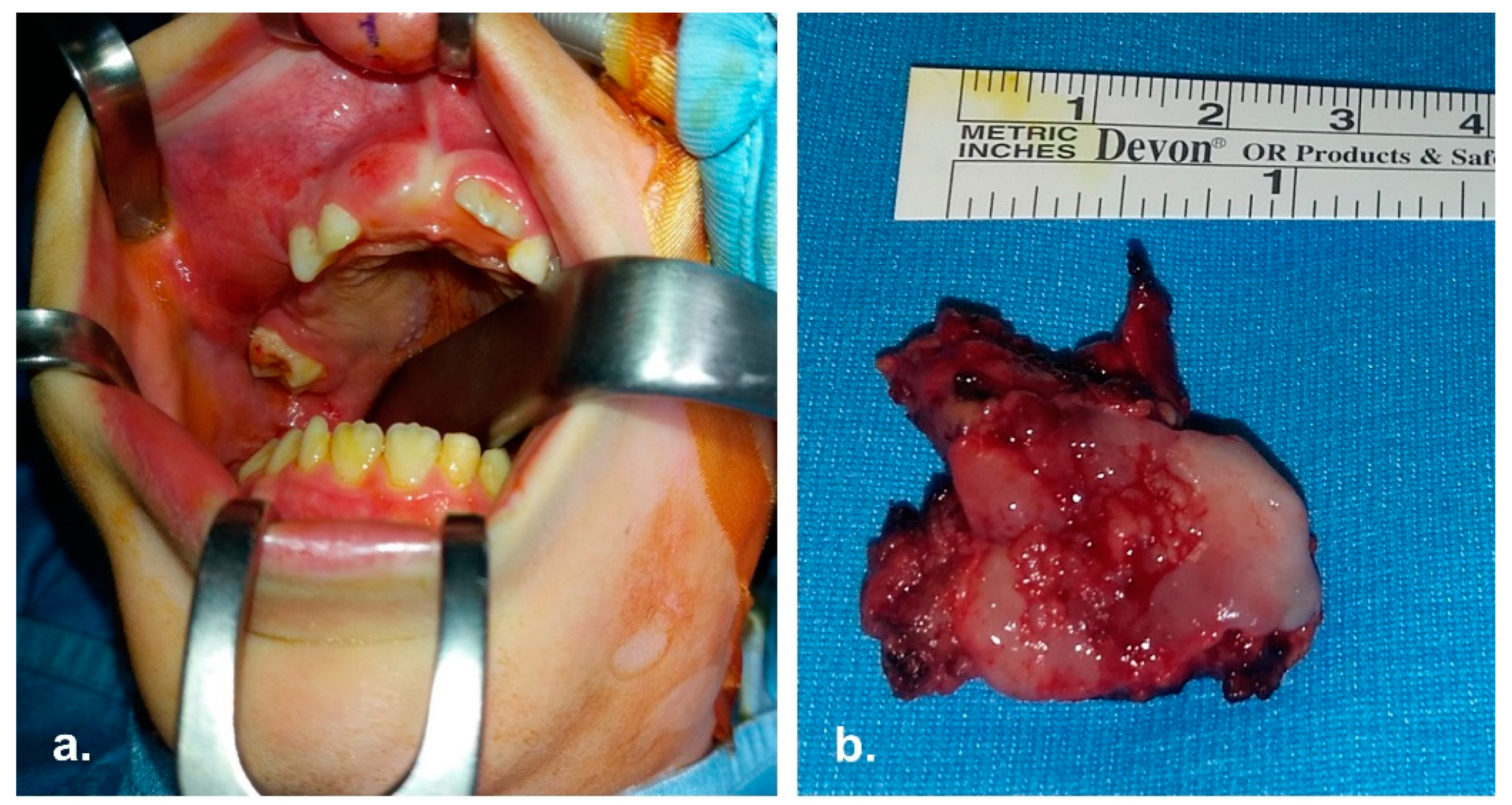 Reports 06 00016 g002