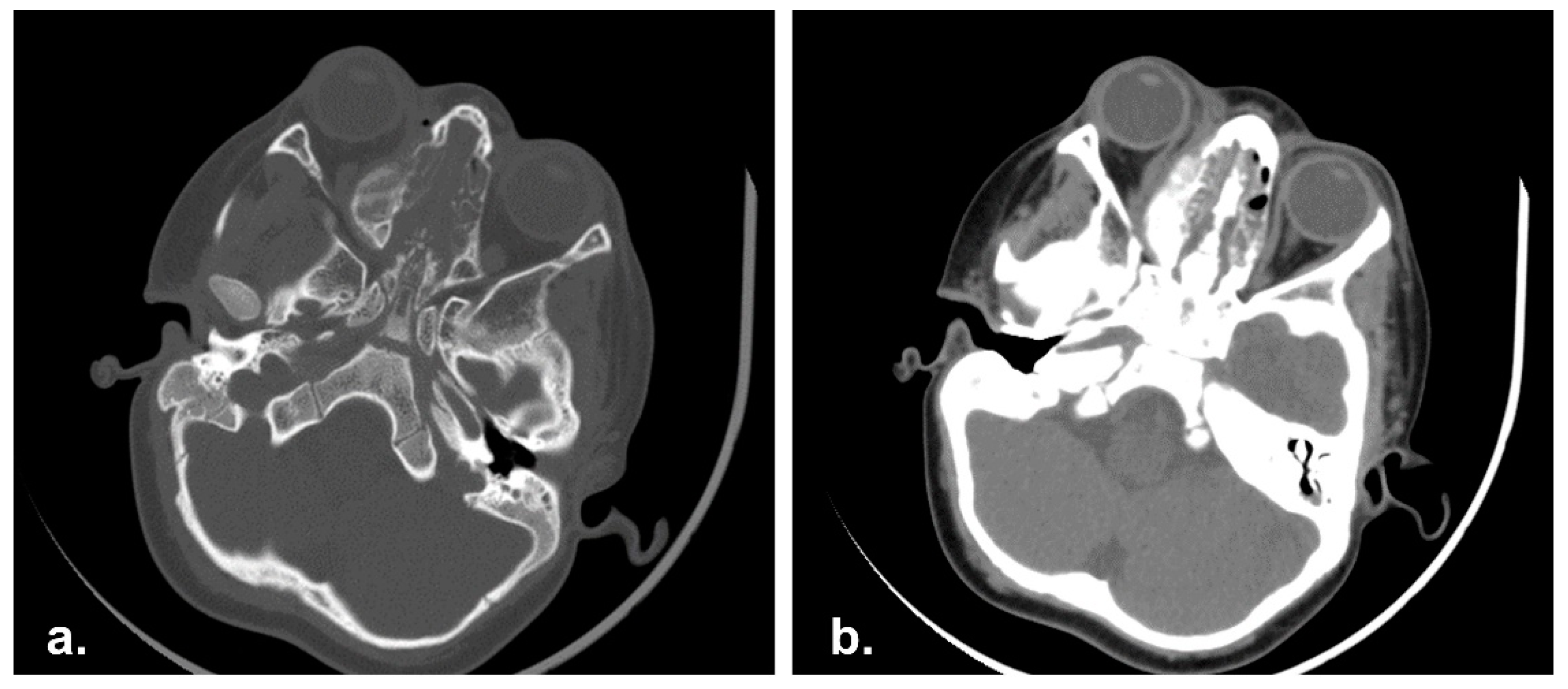 Reports 06 00016 g004