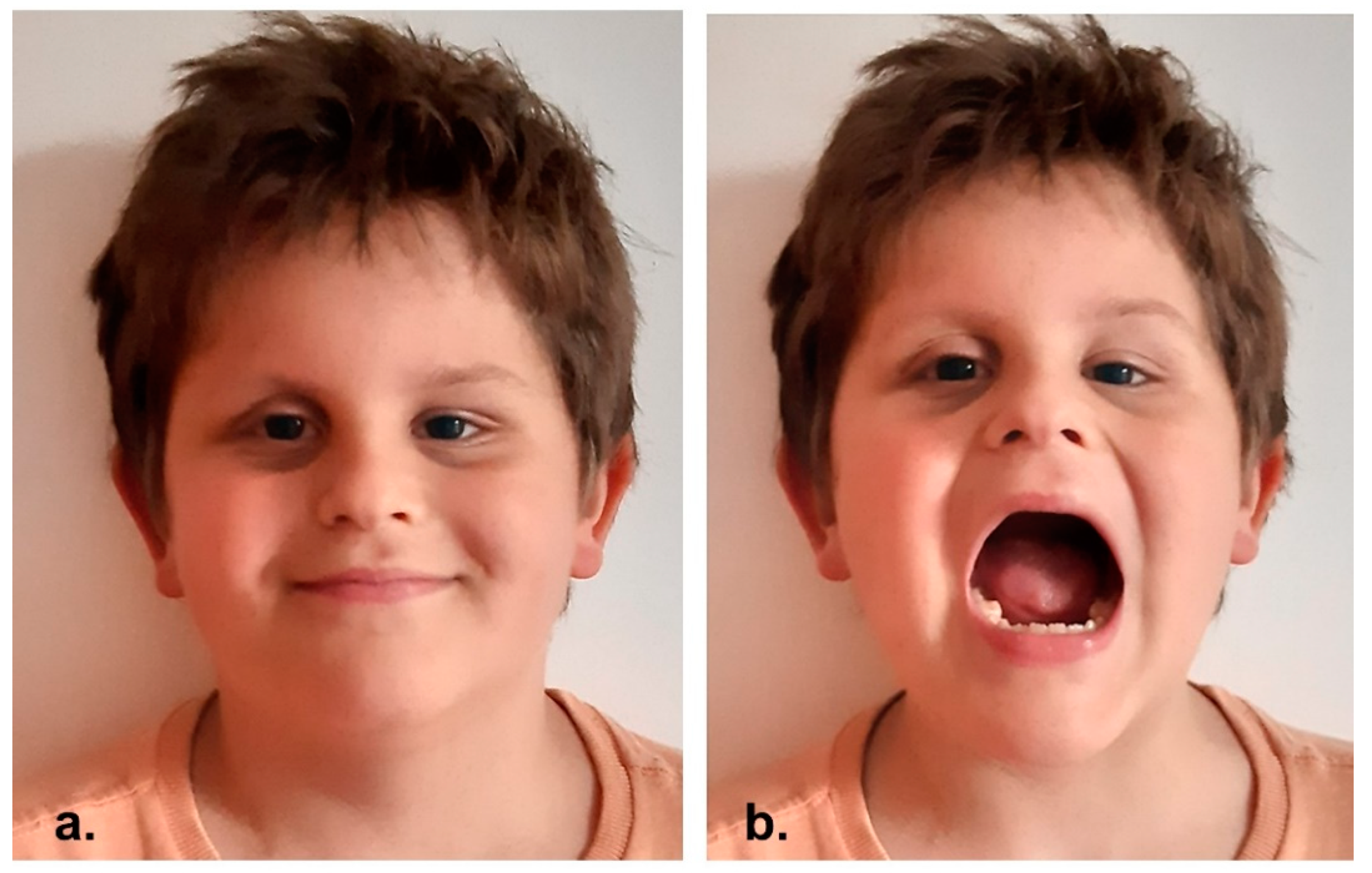 Reports 06 00016 g005