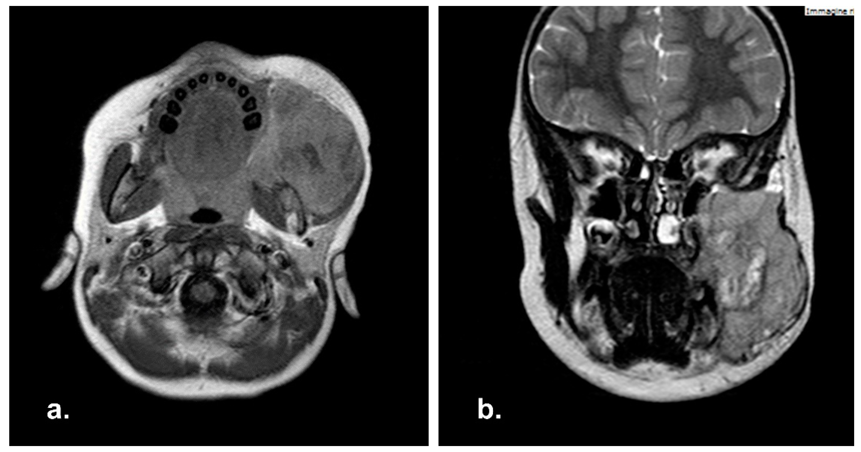 Reports 06 00016 g006