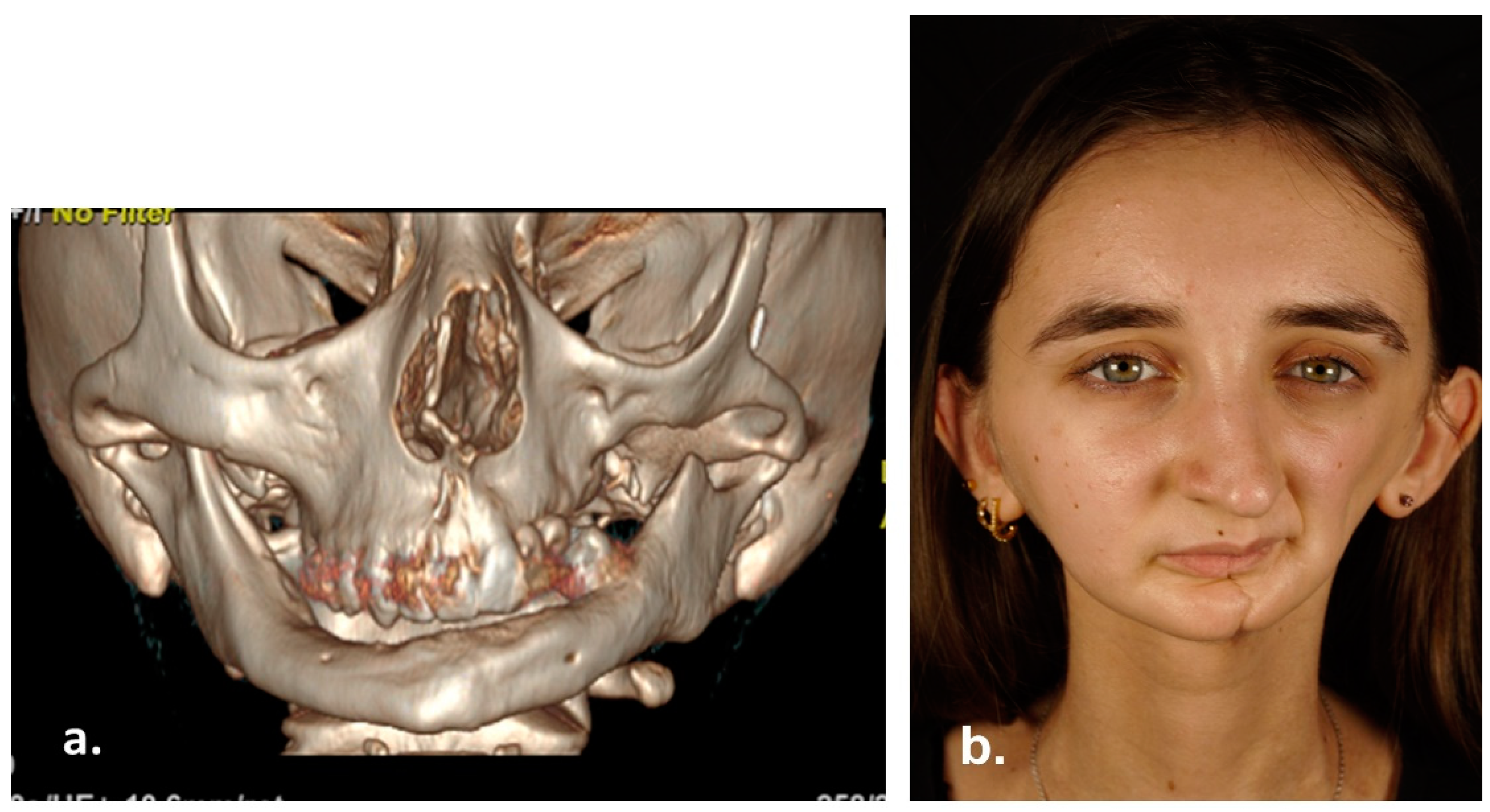 Reports 06 00016 g007