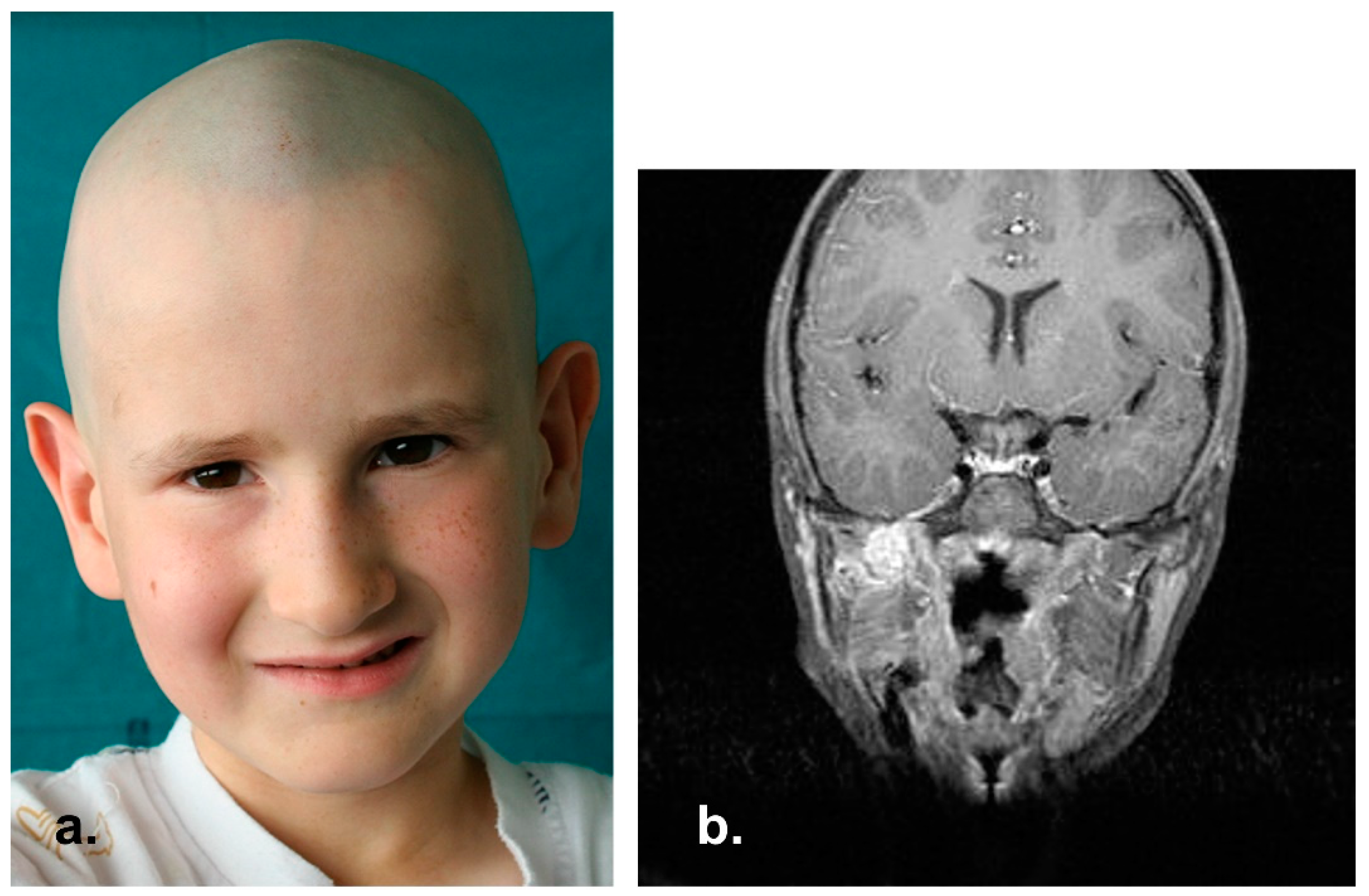 Reports 06 00016 g008