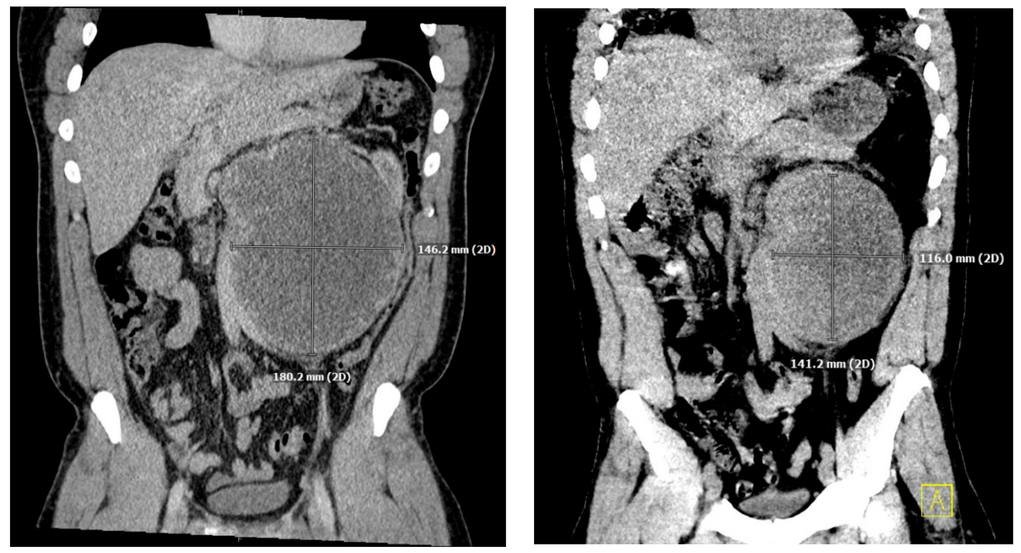 Reports 06 00017 g001