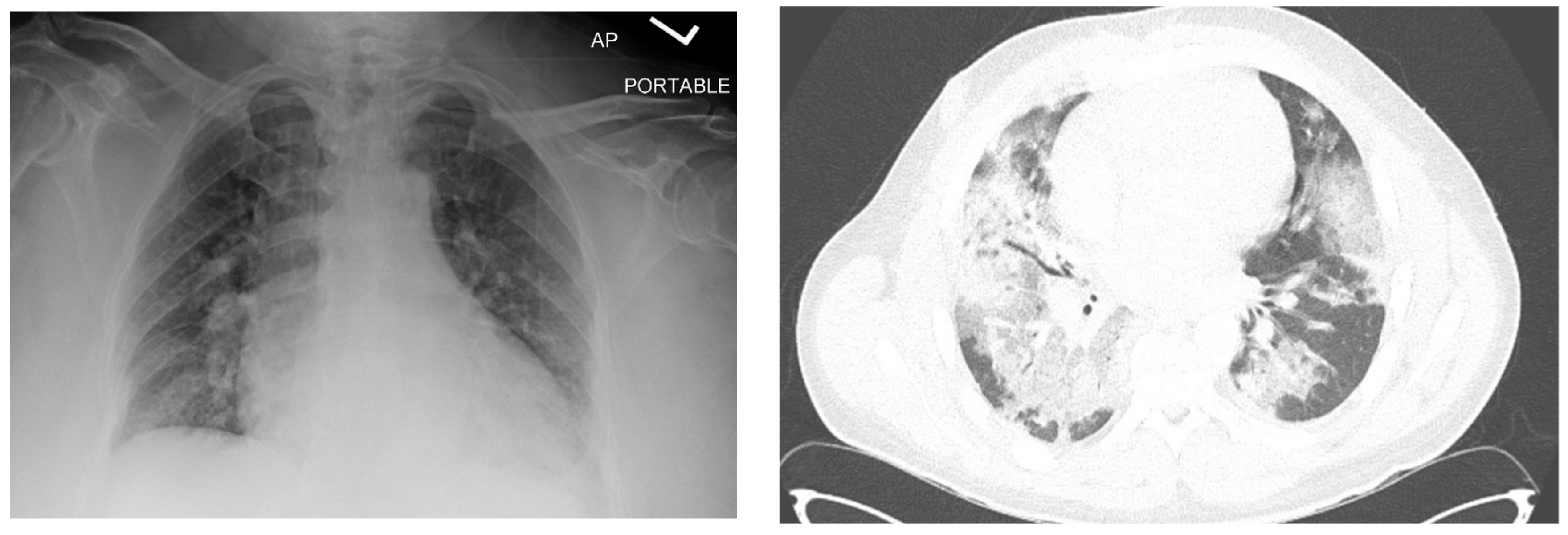 Reports 06 00017 g002