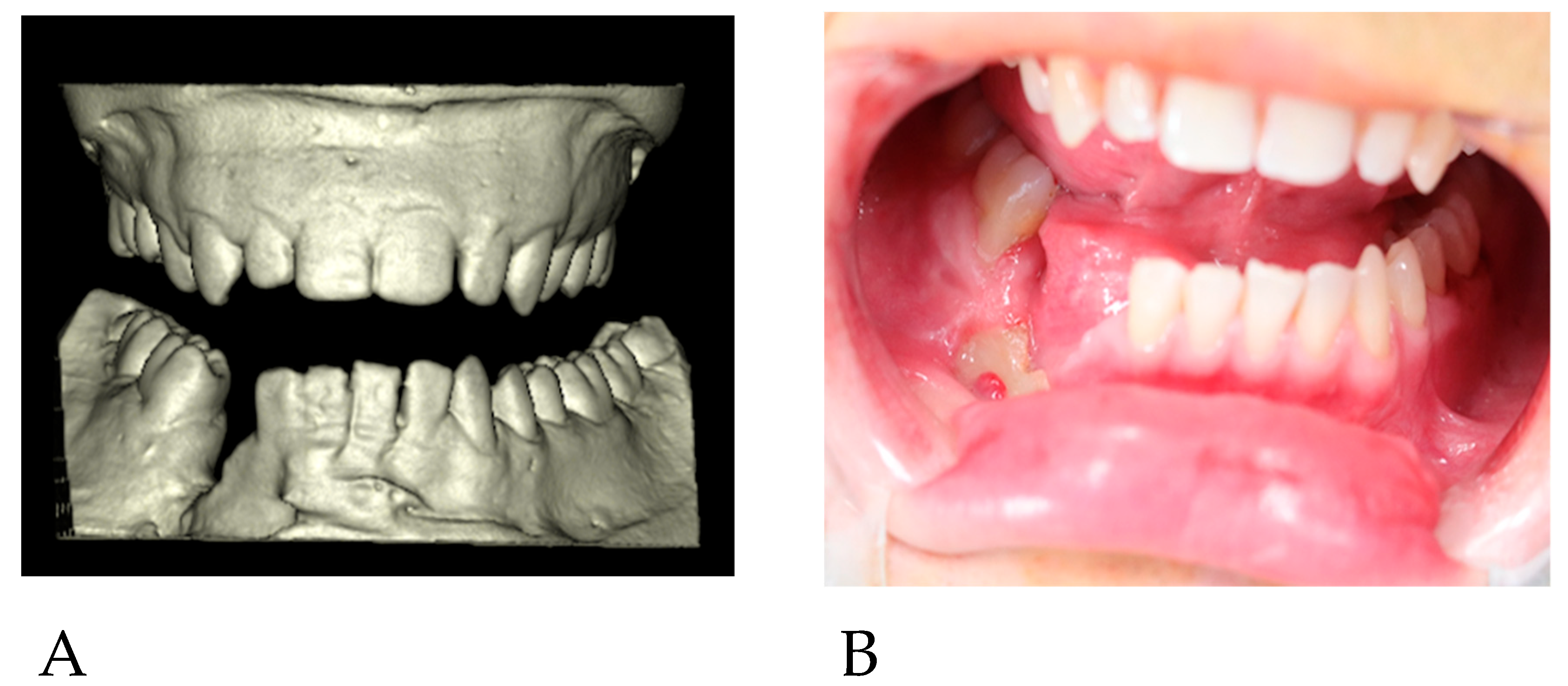 Reports 06 00027 g002