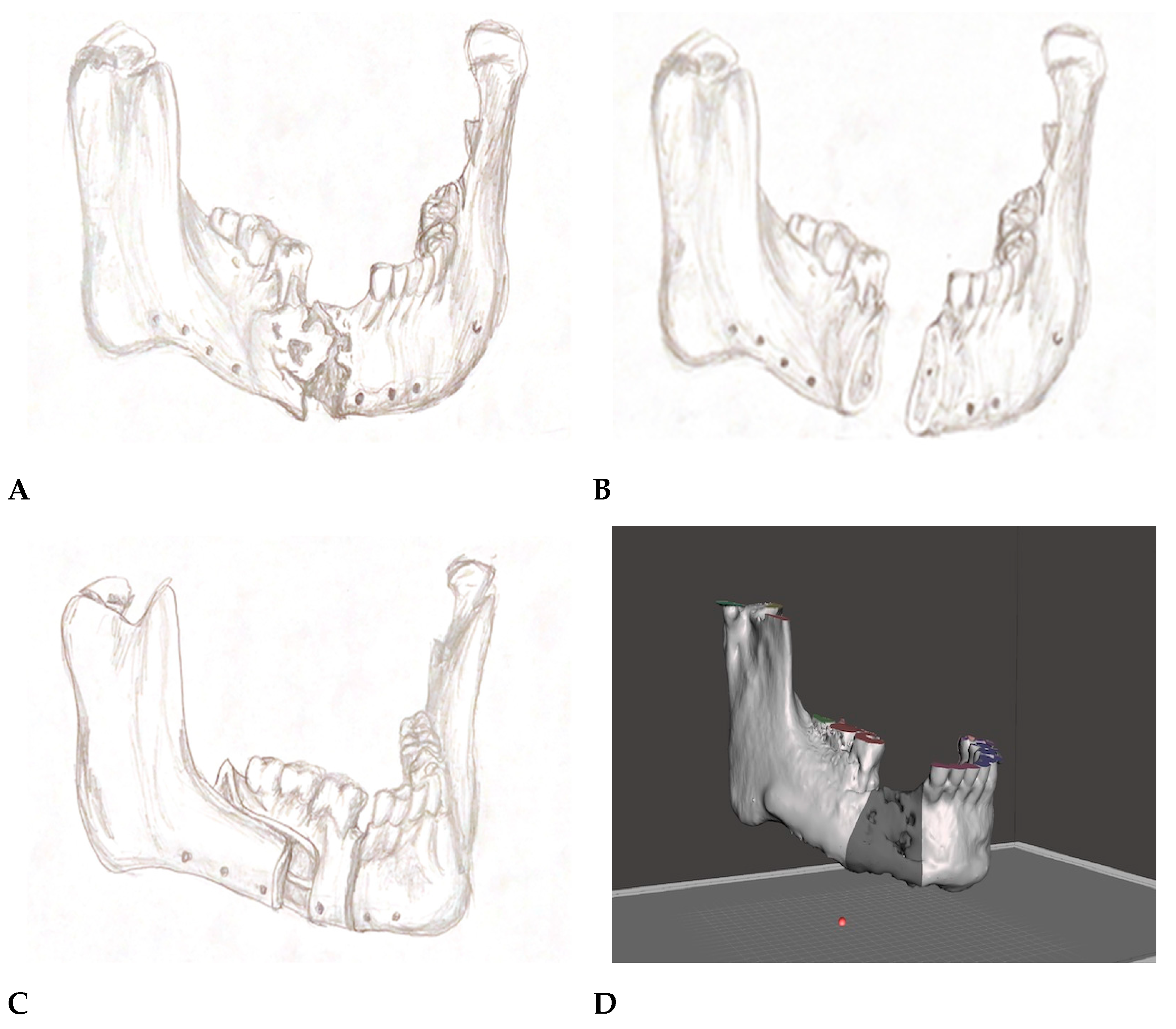 Reports 06 00027 g003a