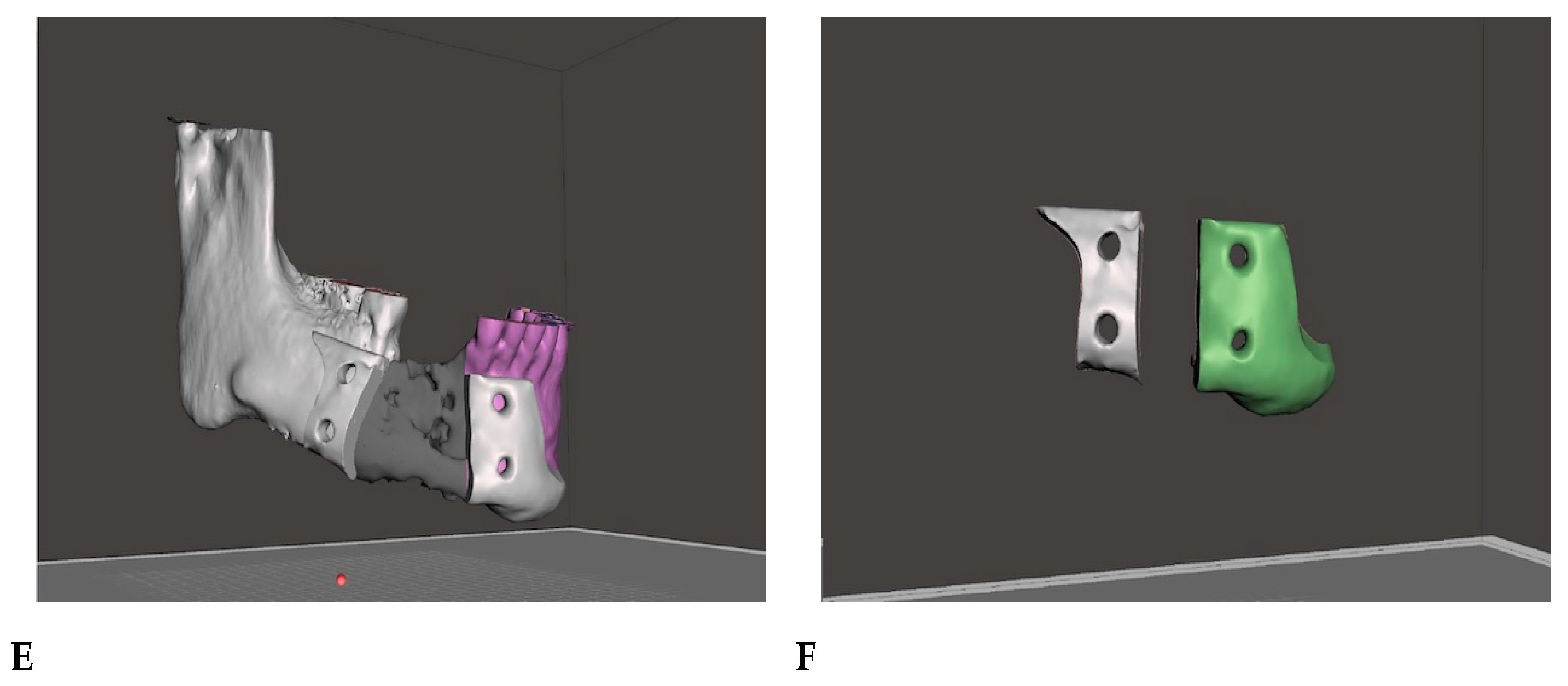 Reports 06 00027 g003b