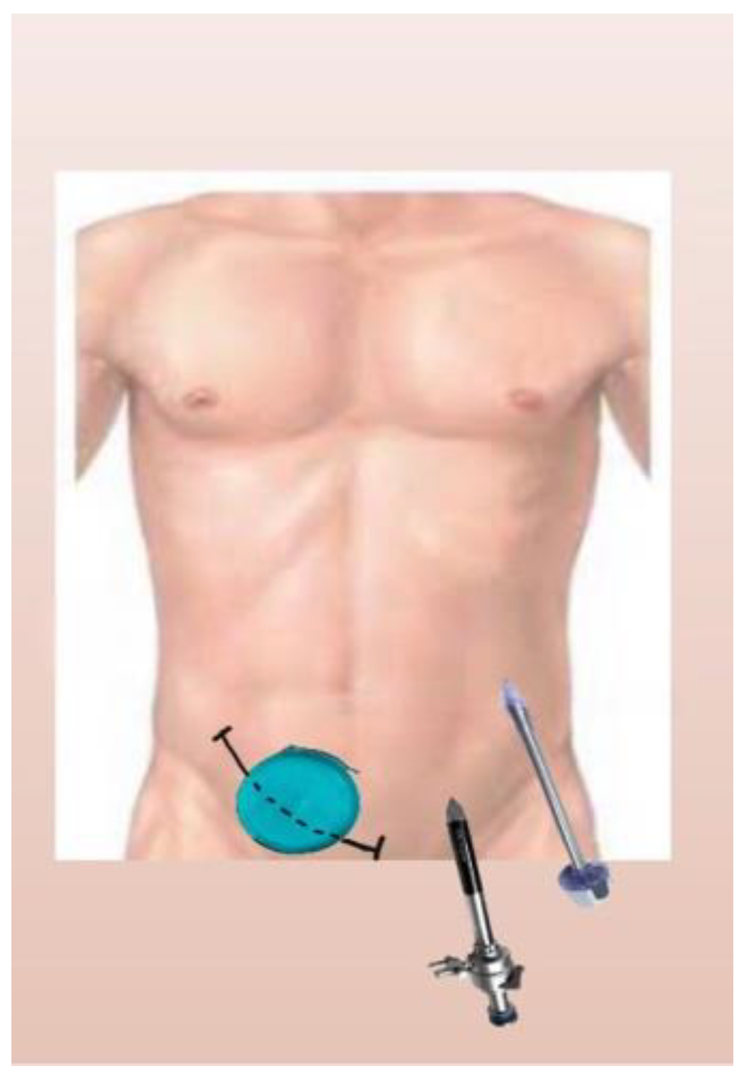 Reports 06 00029 g001 Reports 06 00029 g001