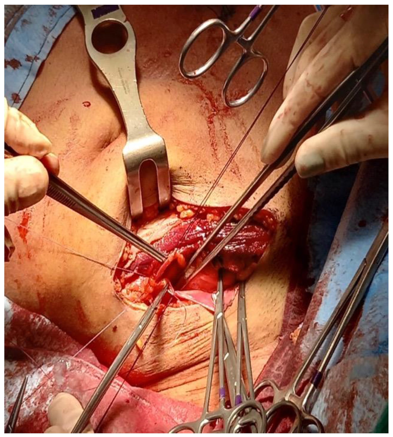 Reports 06 00029 g004 Reports 06 00029 g004