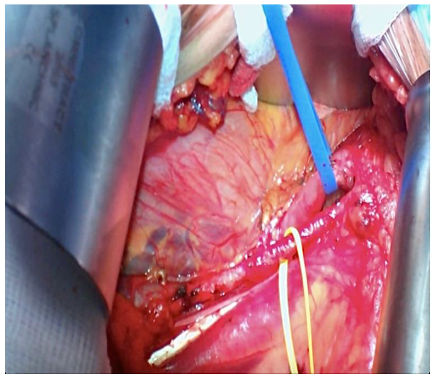 Reports 06 00029 g005 Reports 06 00029 g005