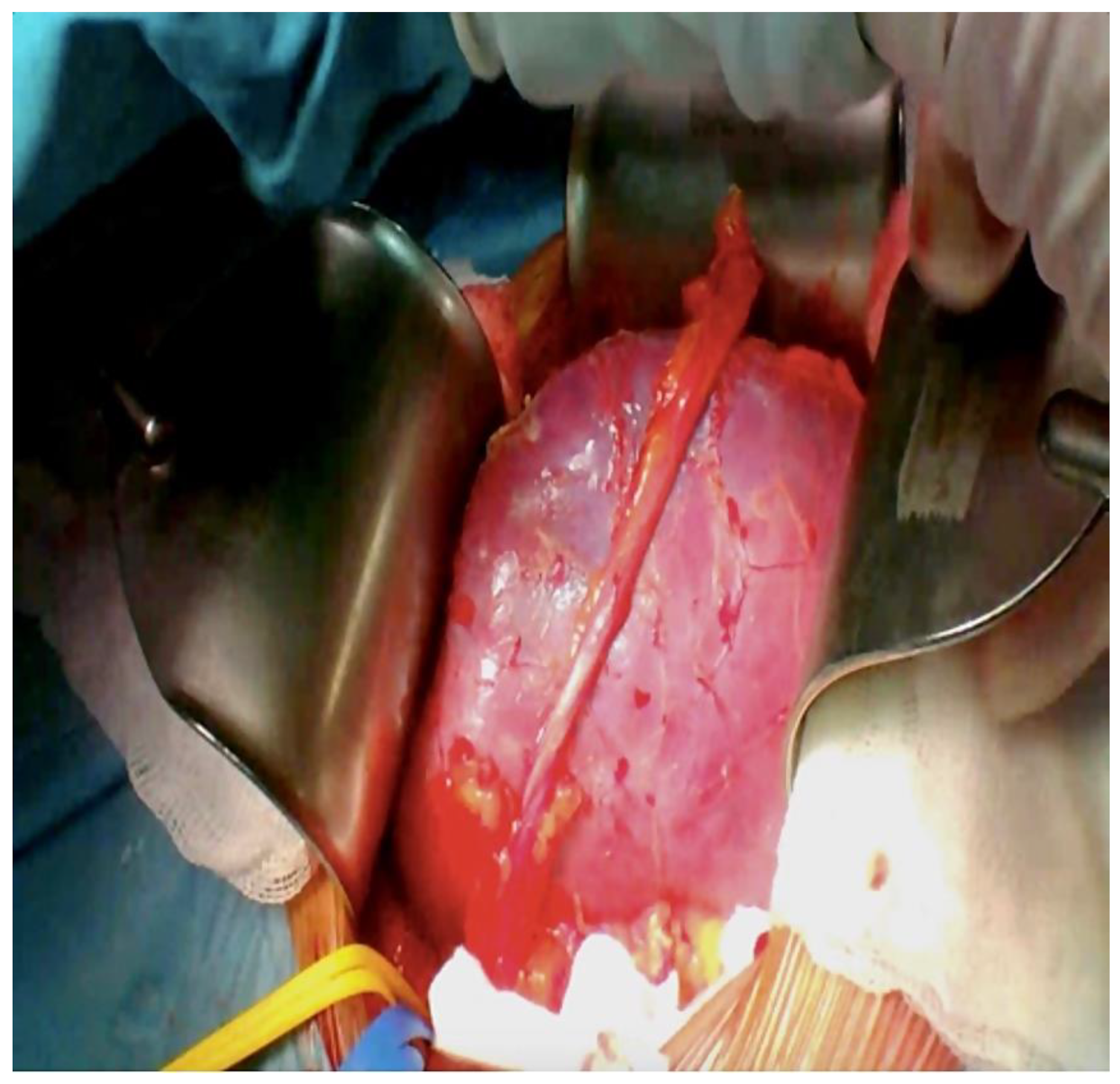 Reports 06 00029 g006 Reports 06 00029 g006