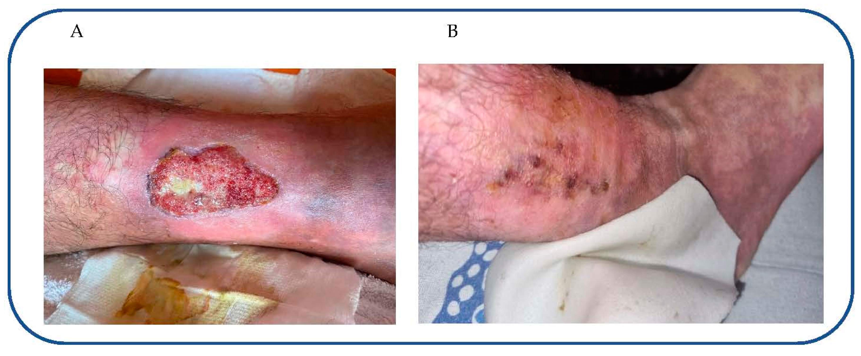 Reports 06 00033 g001