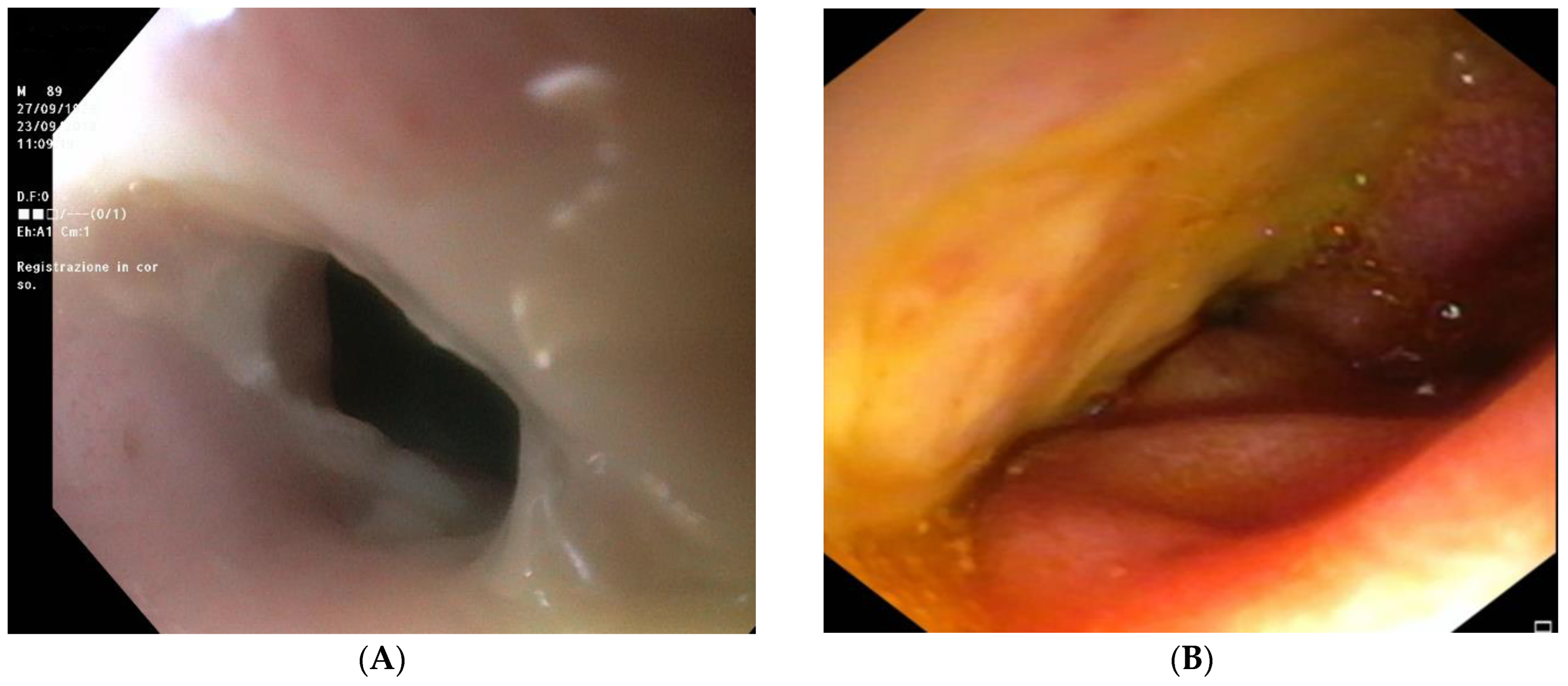 Reports 06 00037 g003 Reports 06 00037 g003