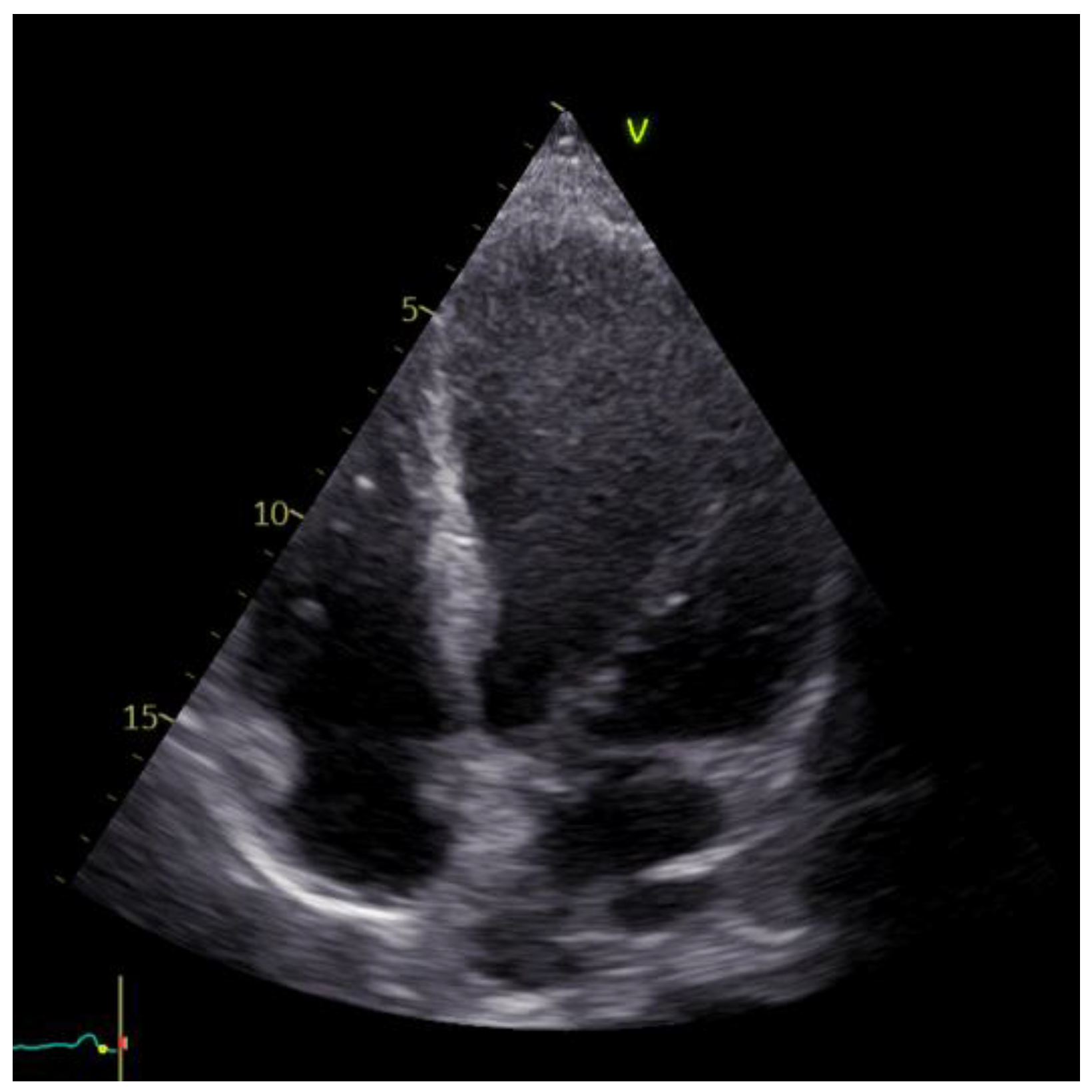 Reports 06 00039 g005