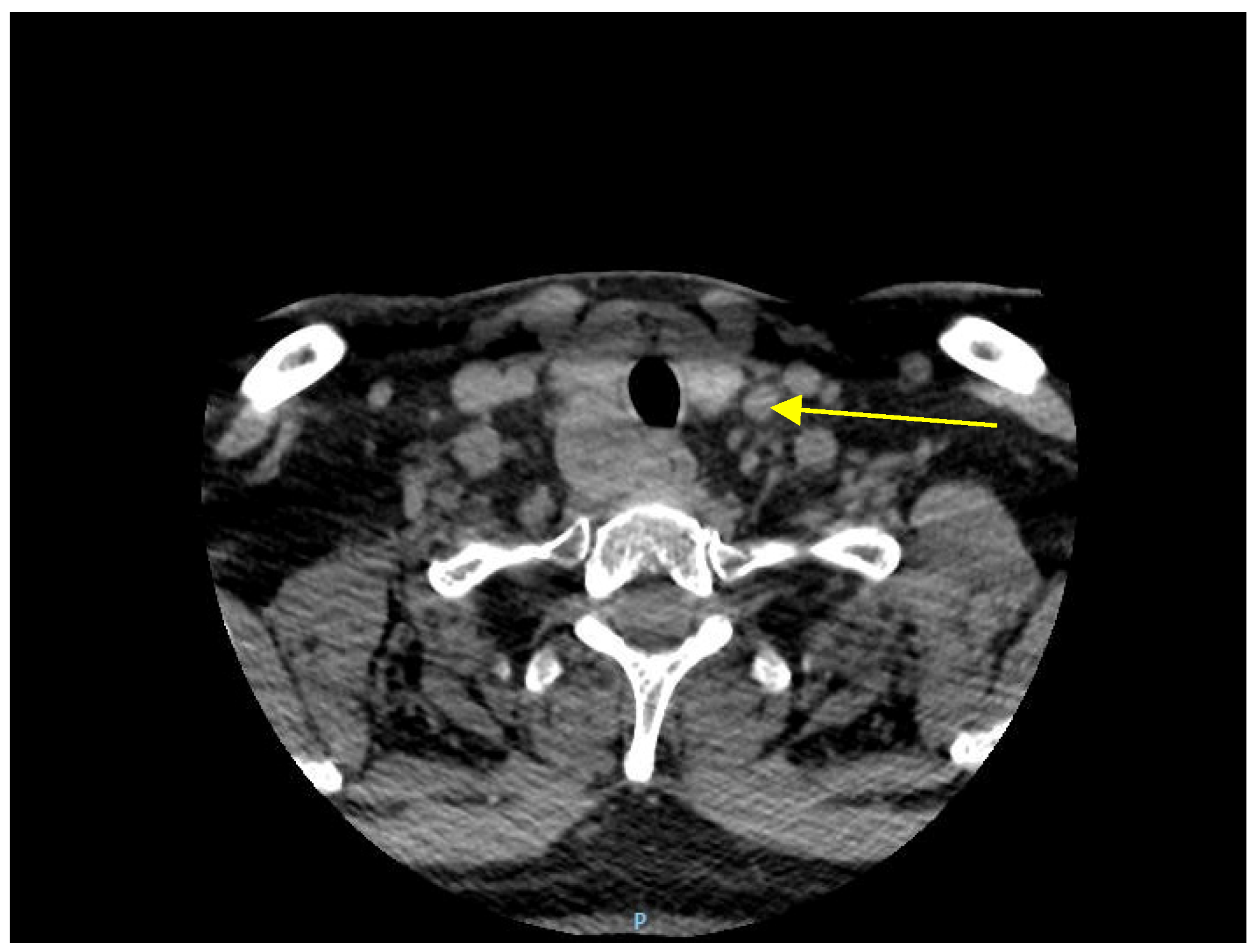 Reports 06 00040 g001