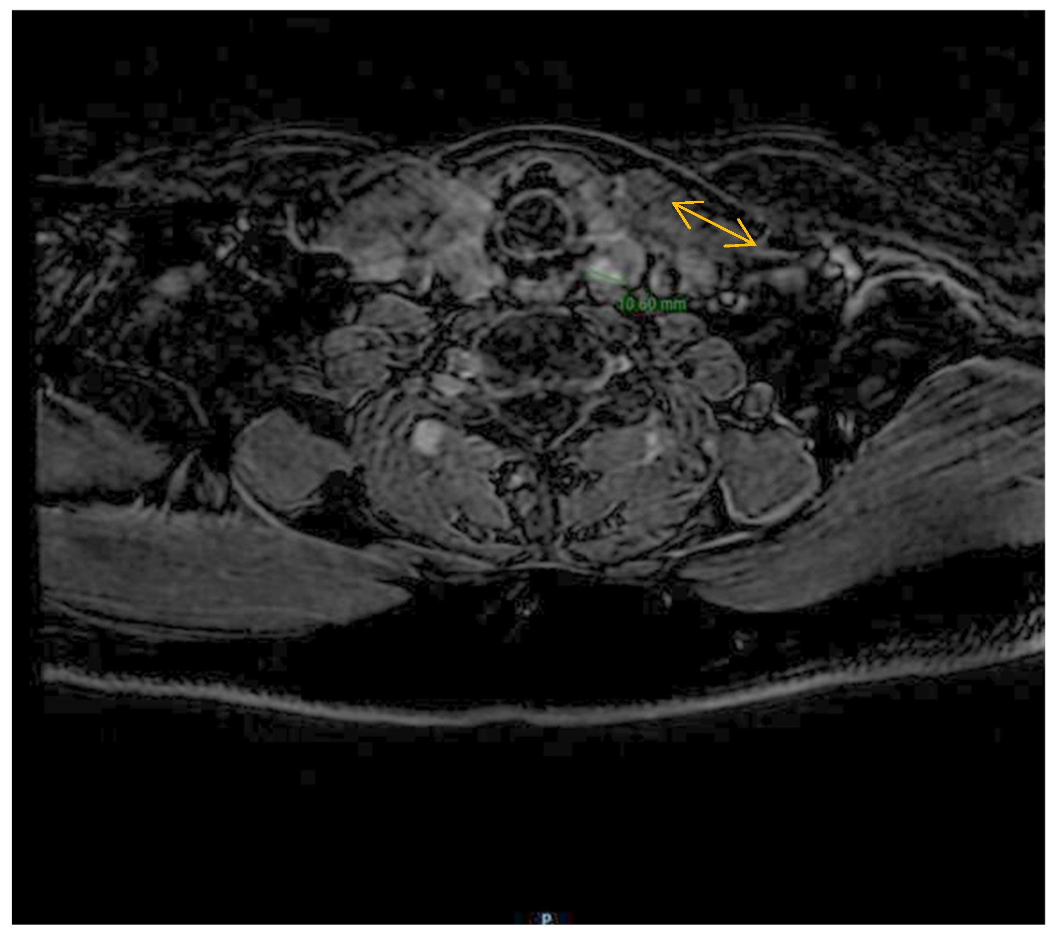 Reports 06 00040 g003