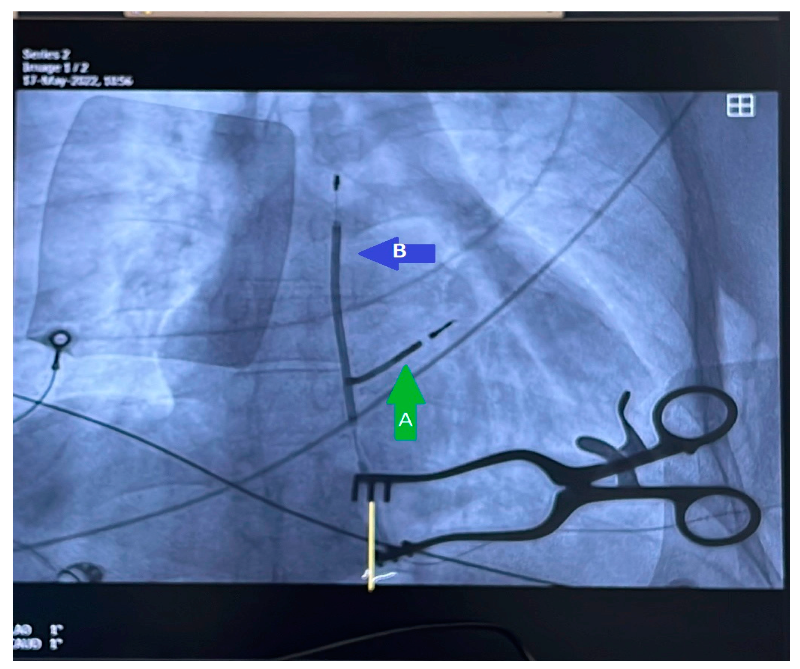 Reports 06 00041 g006