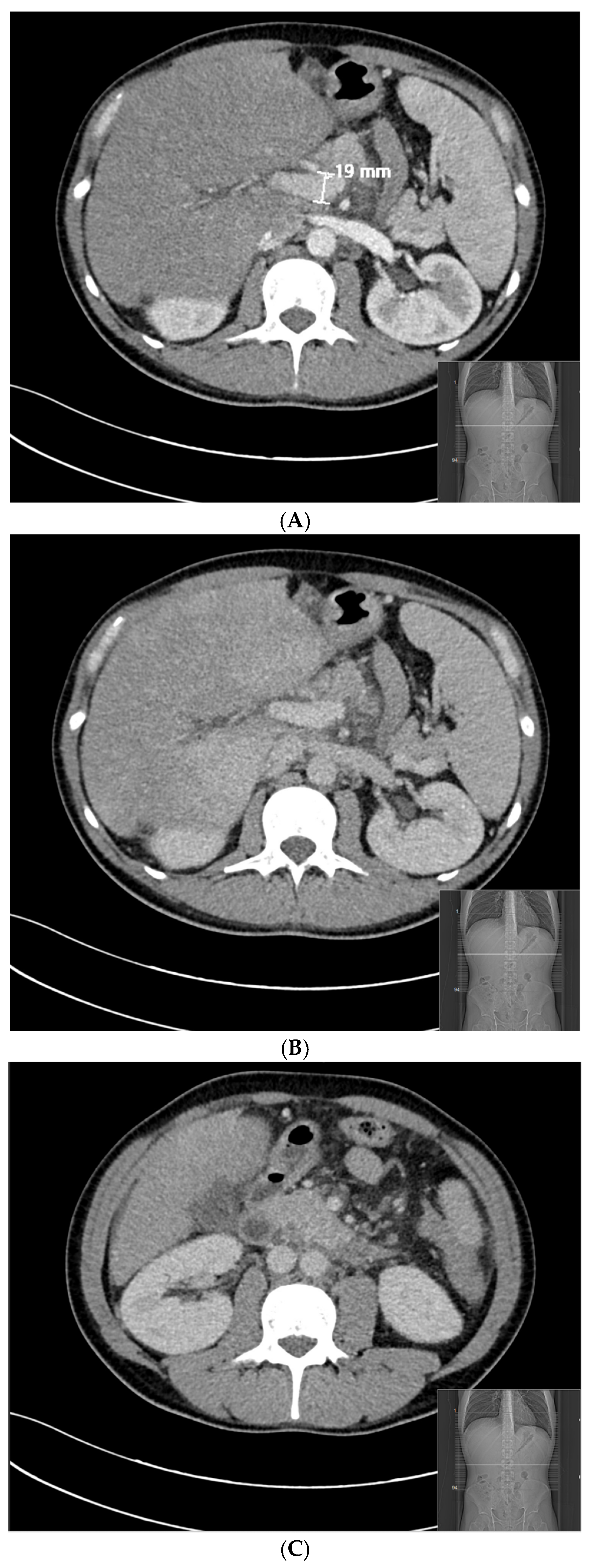 Reports 06 00042 g003