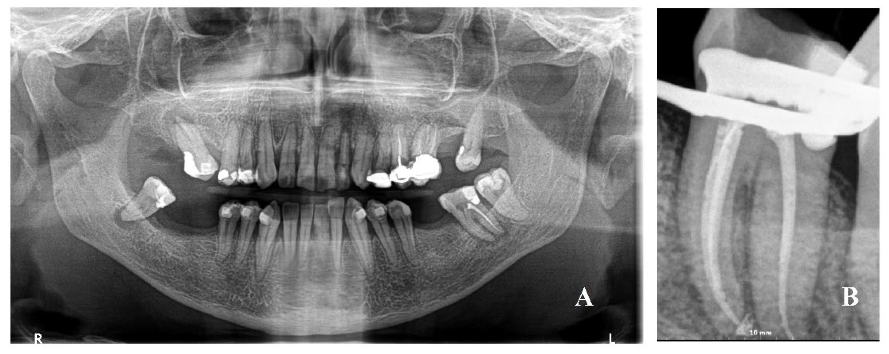 Reports 06 00047 g001