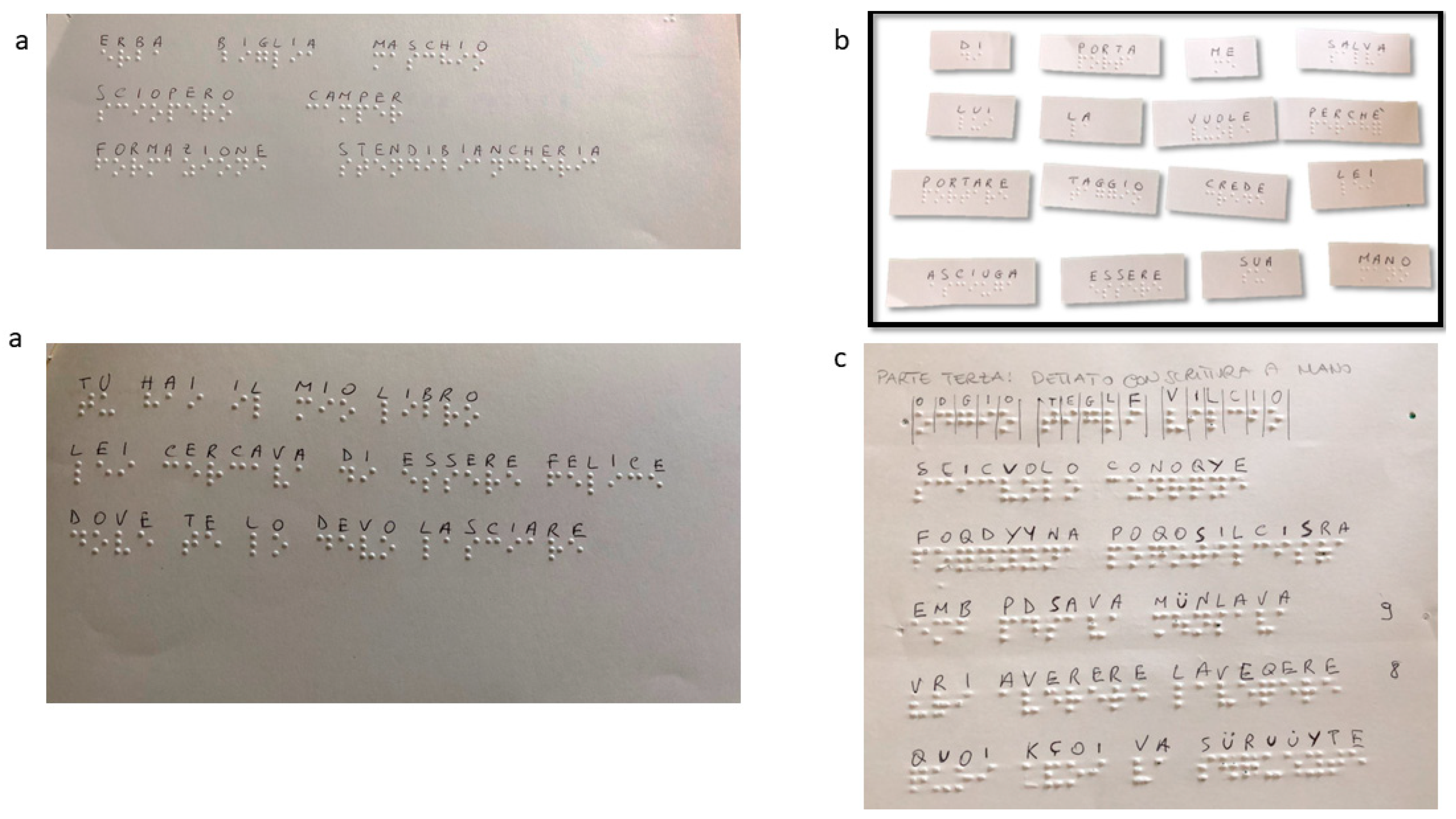 Reports 06 00049 g003