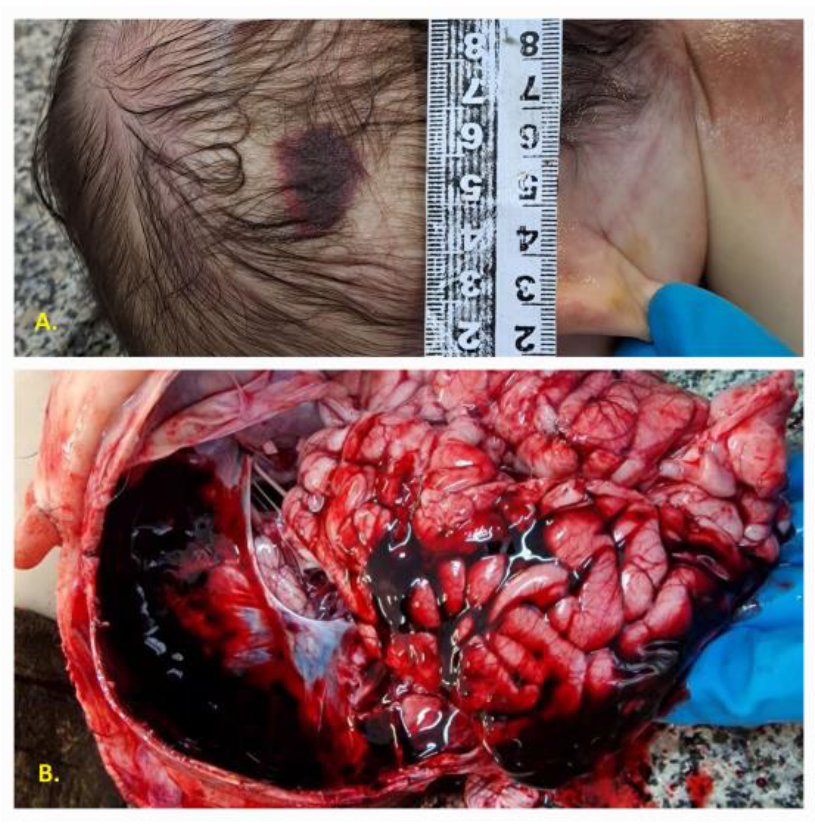 Reports 06 00050 g001