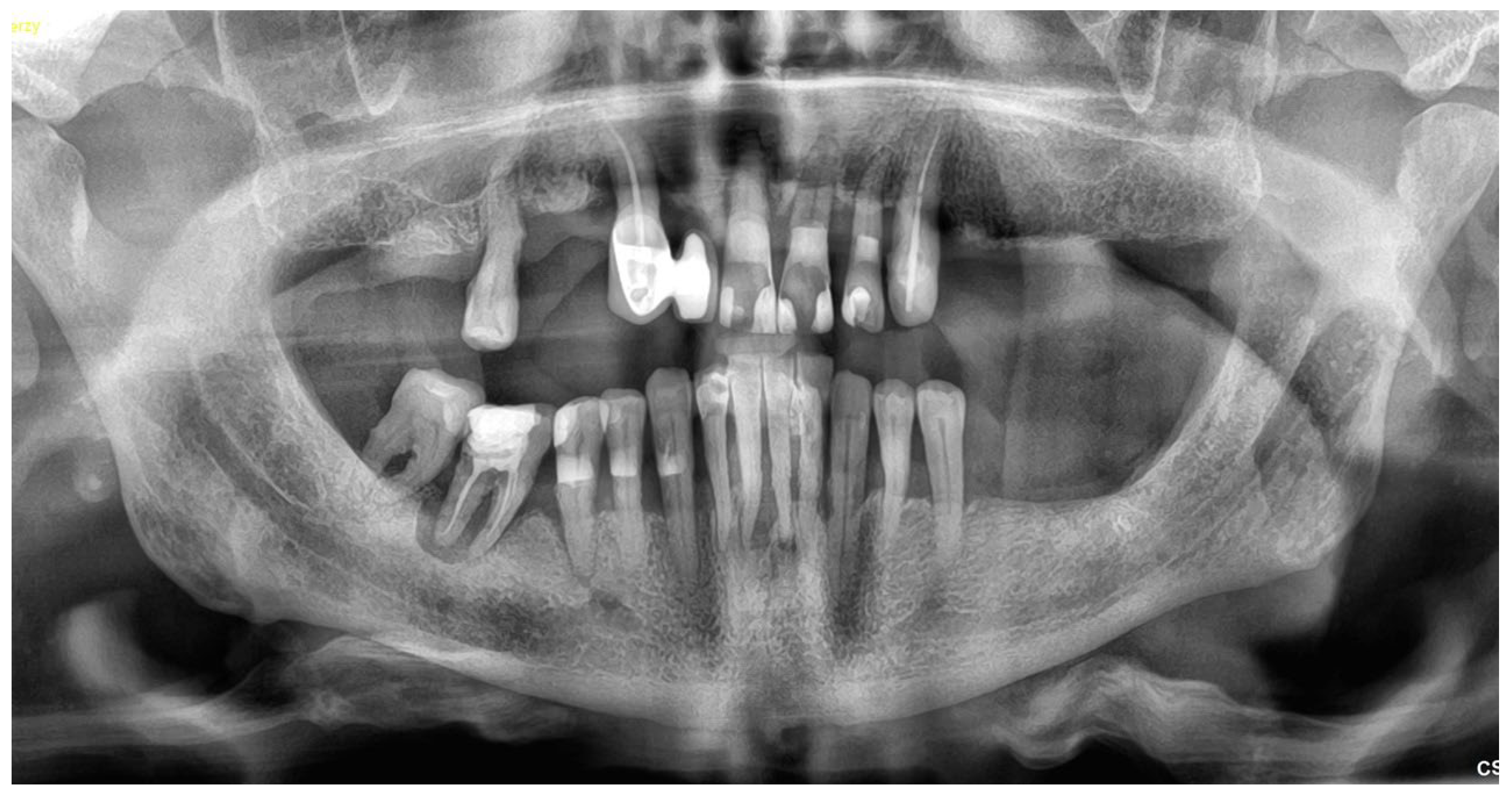 Reports 06 00052 g001