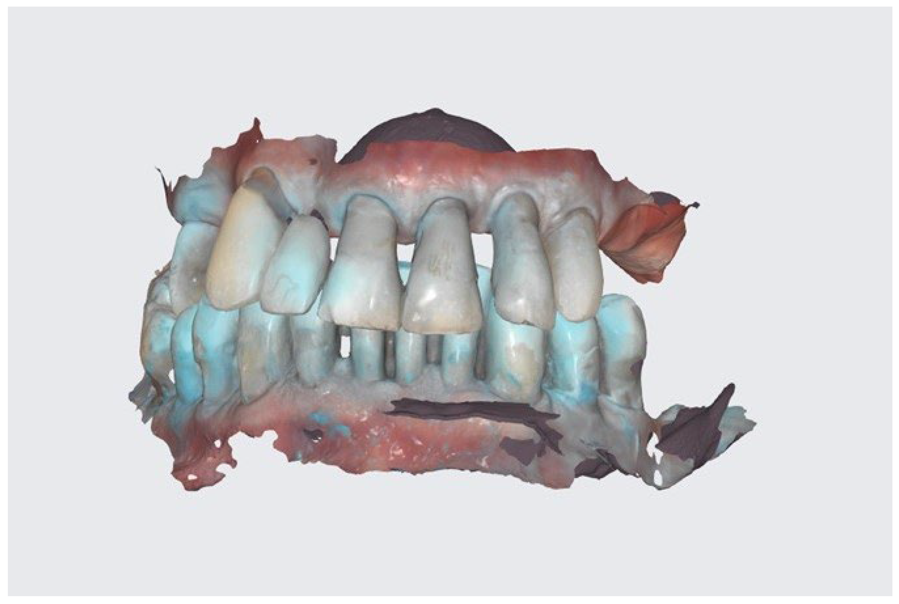 Reports 06 00052 g003