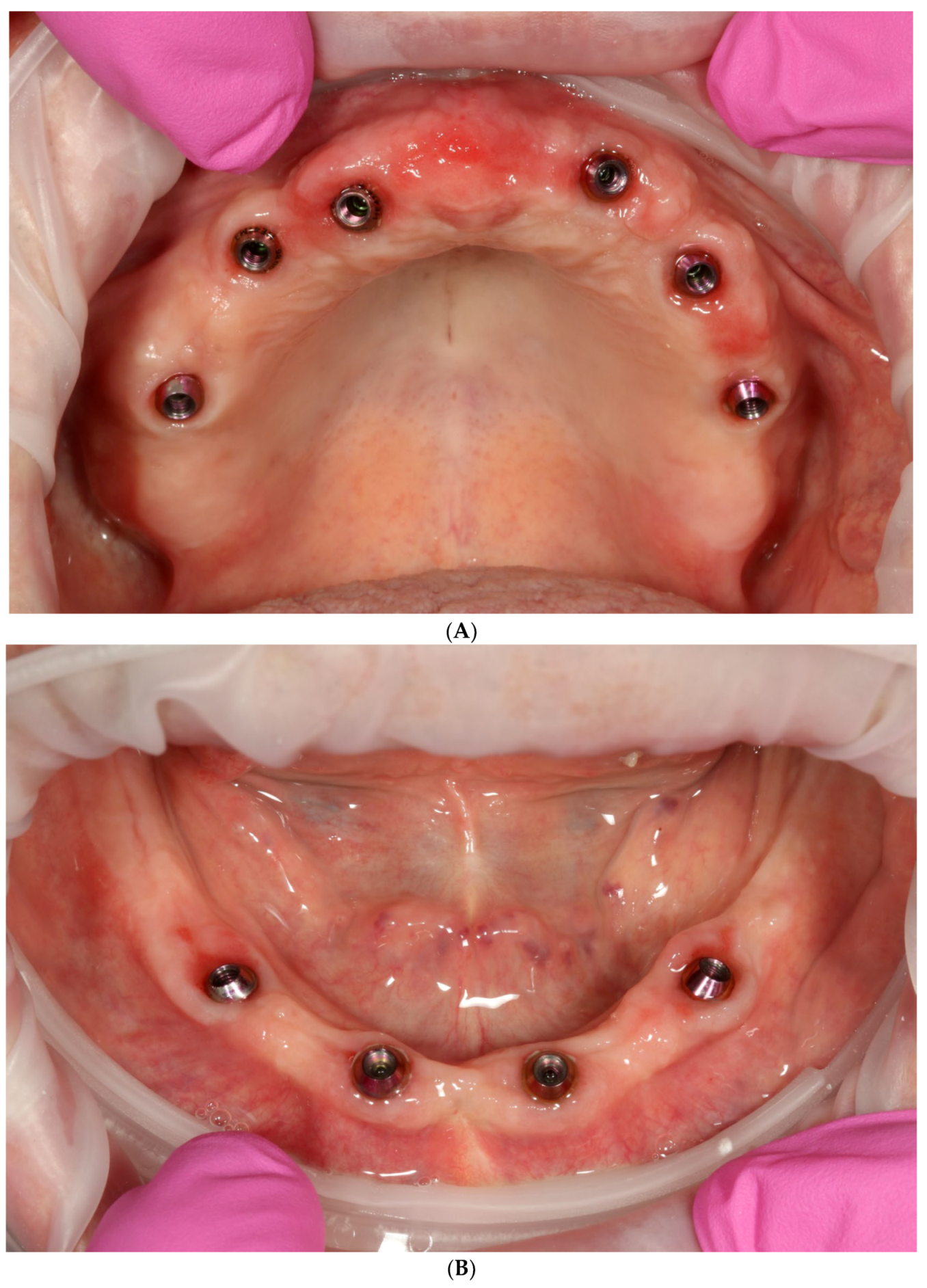 Reports 06 00052 g014