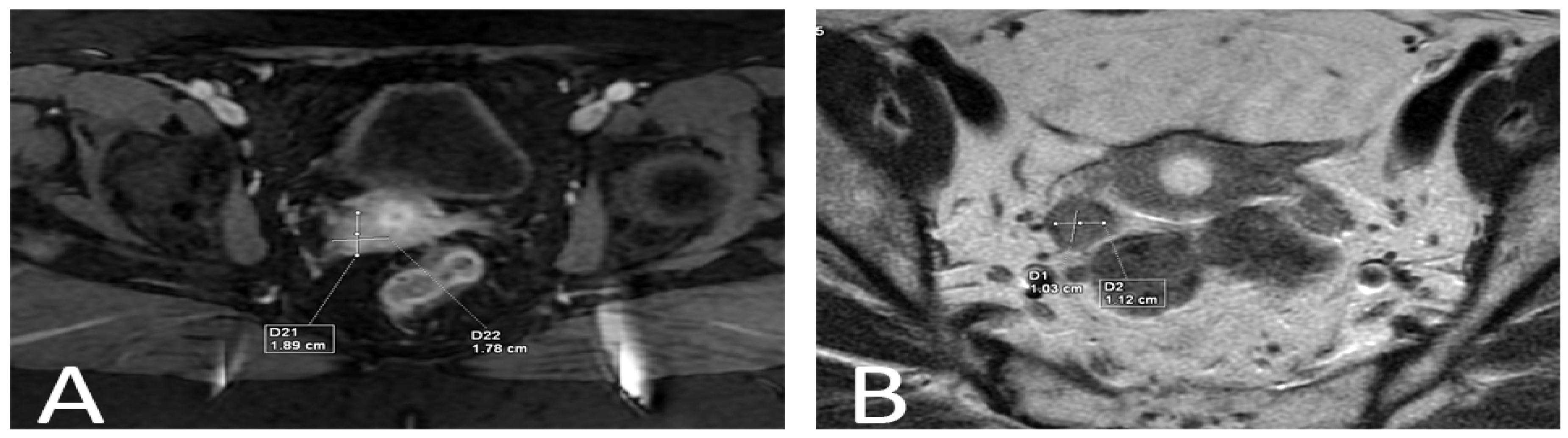 Reports 06 00054 g001